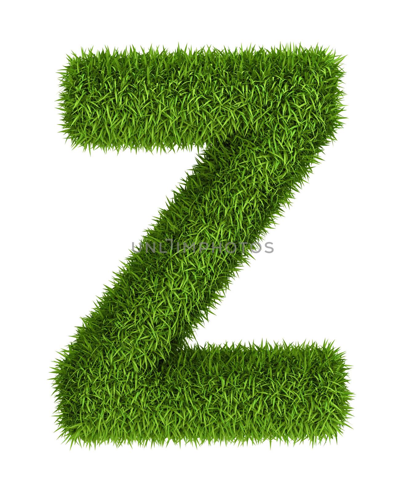 Natural grass letter z lowercase by iunewind