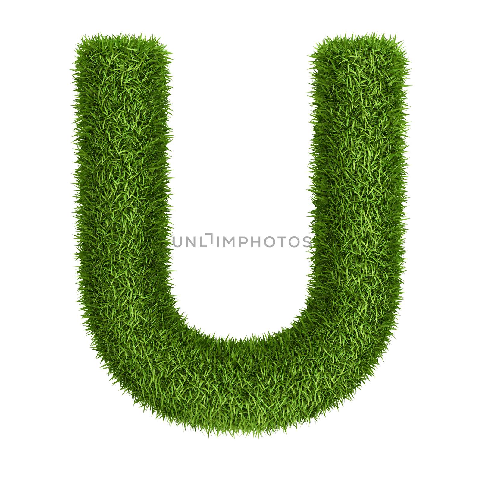 Natural grass letter U by iunewind