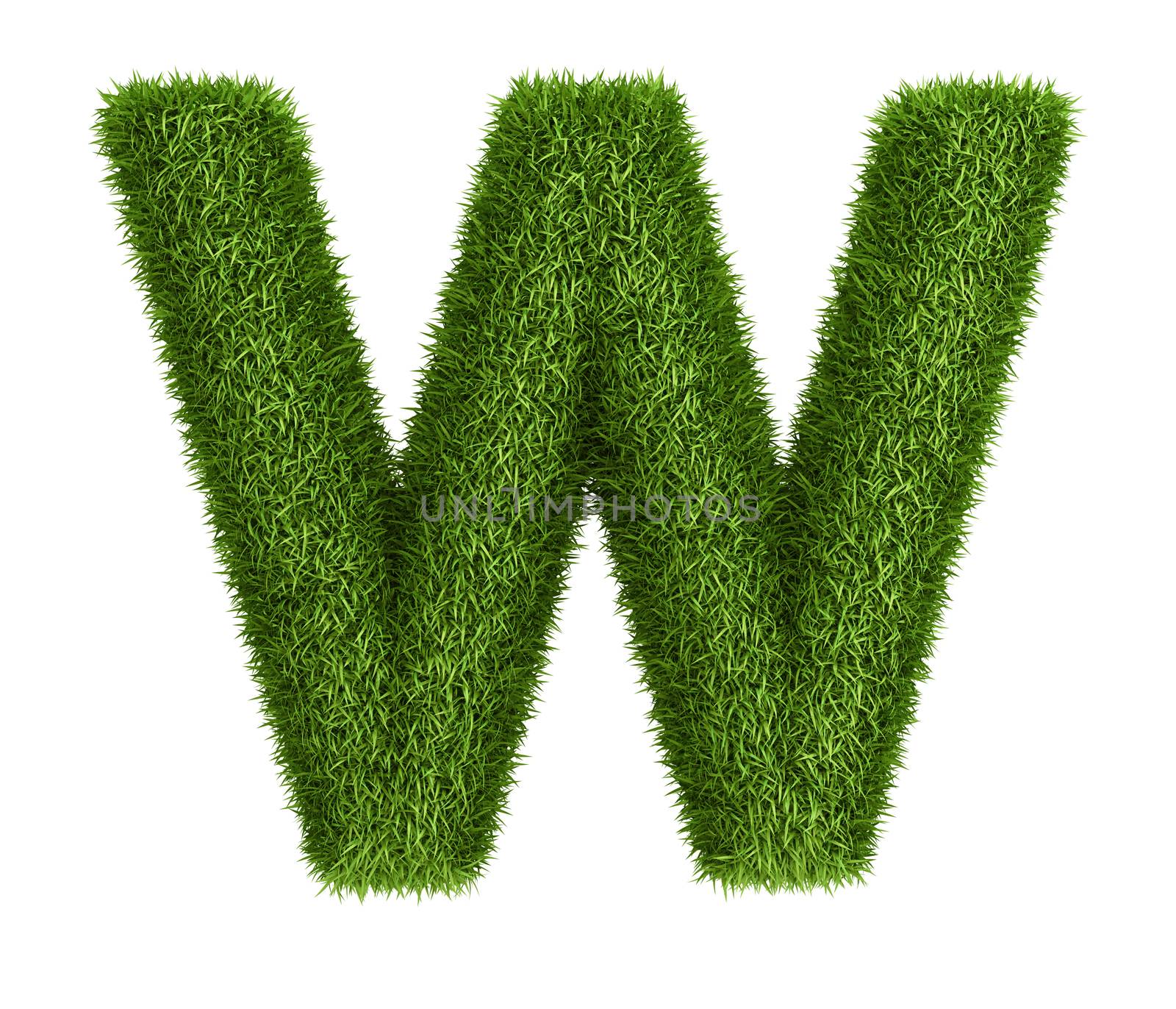 Natural grass letter W by iunewind