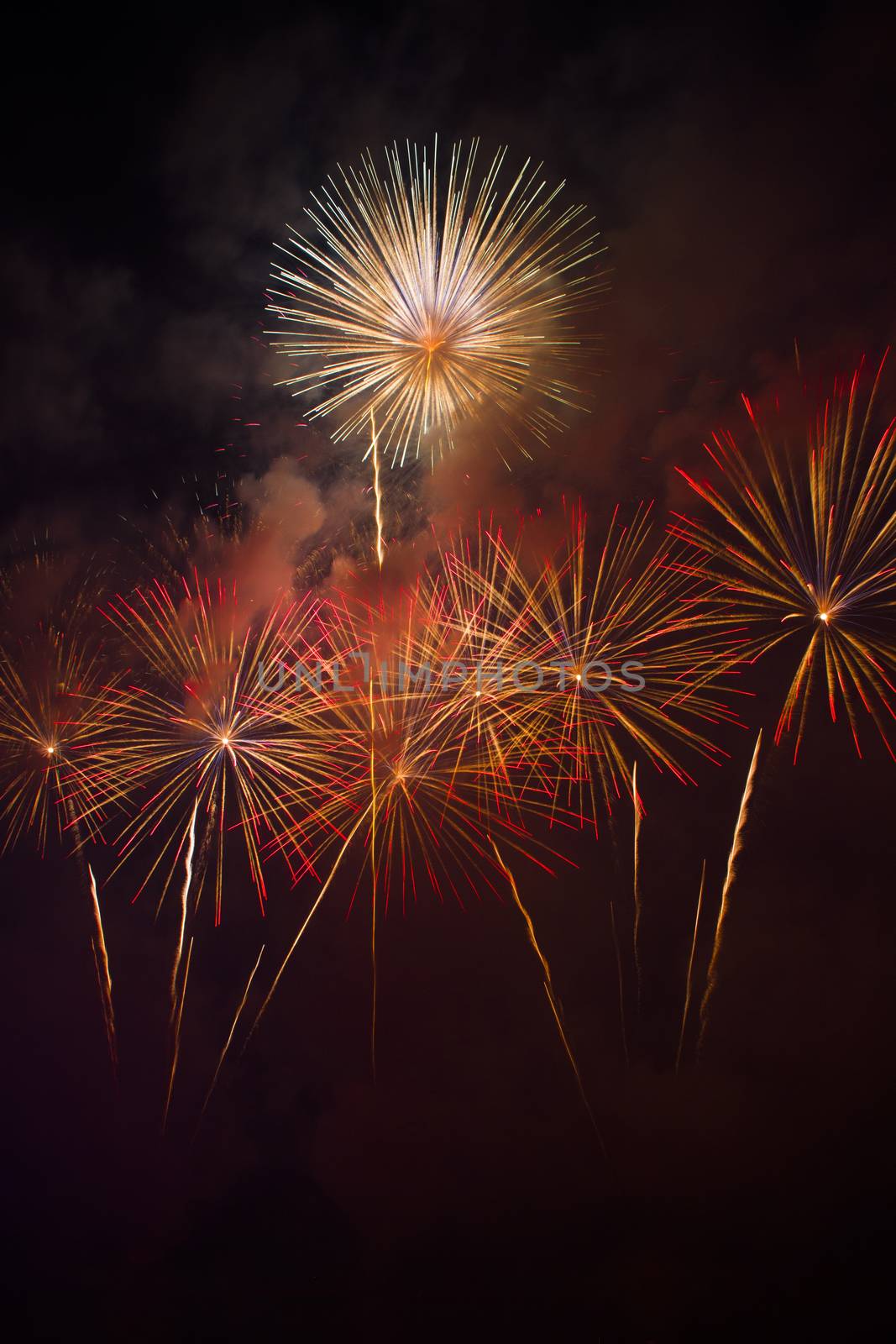 Colorful fireworks over dark sky