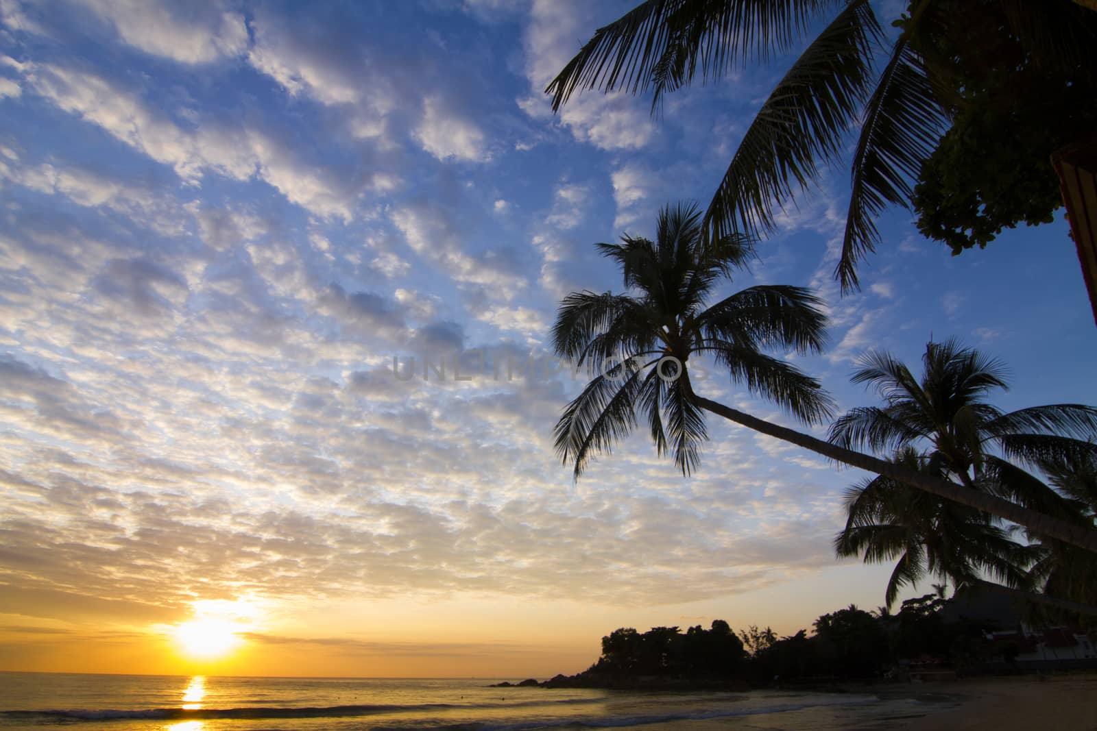 Chaweng Beach Koh Samui surat thani Thailand.