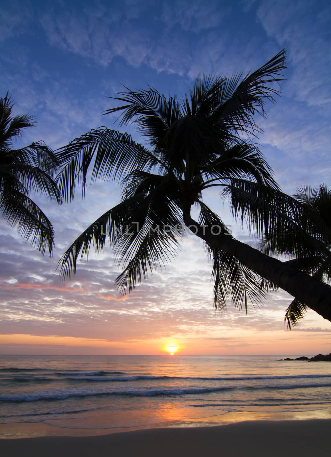 Chaweng Beach Koh Samui surat thani Thailand.