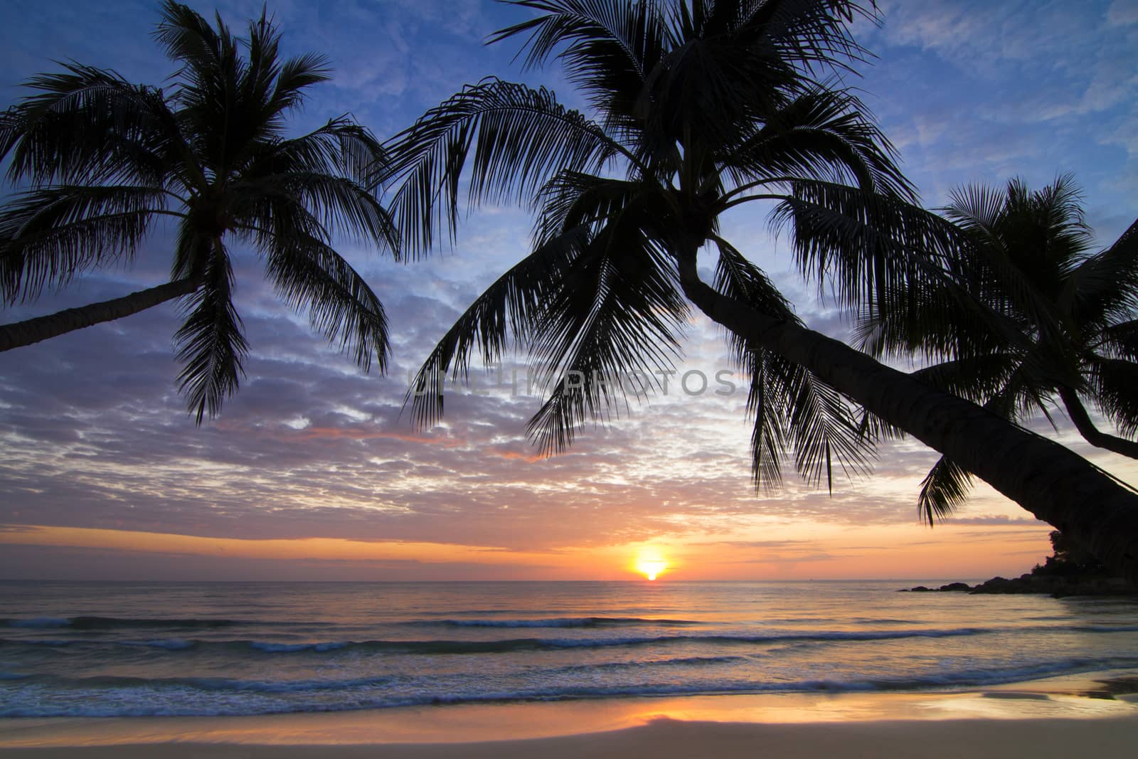 Chaweng Beach Koh Samui surat thani Thailand.