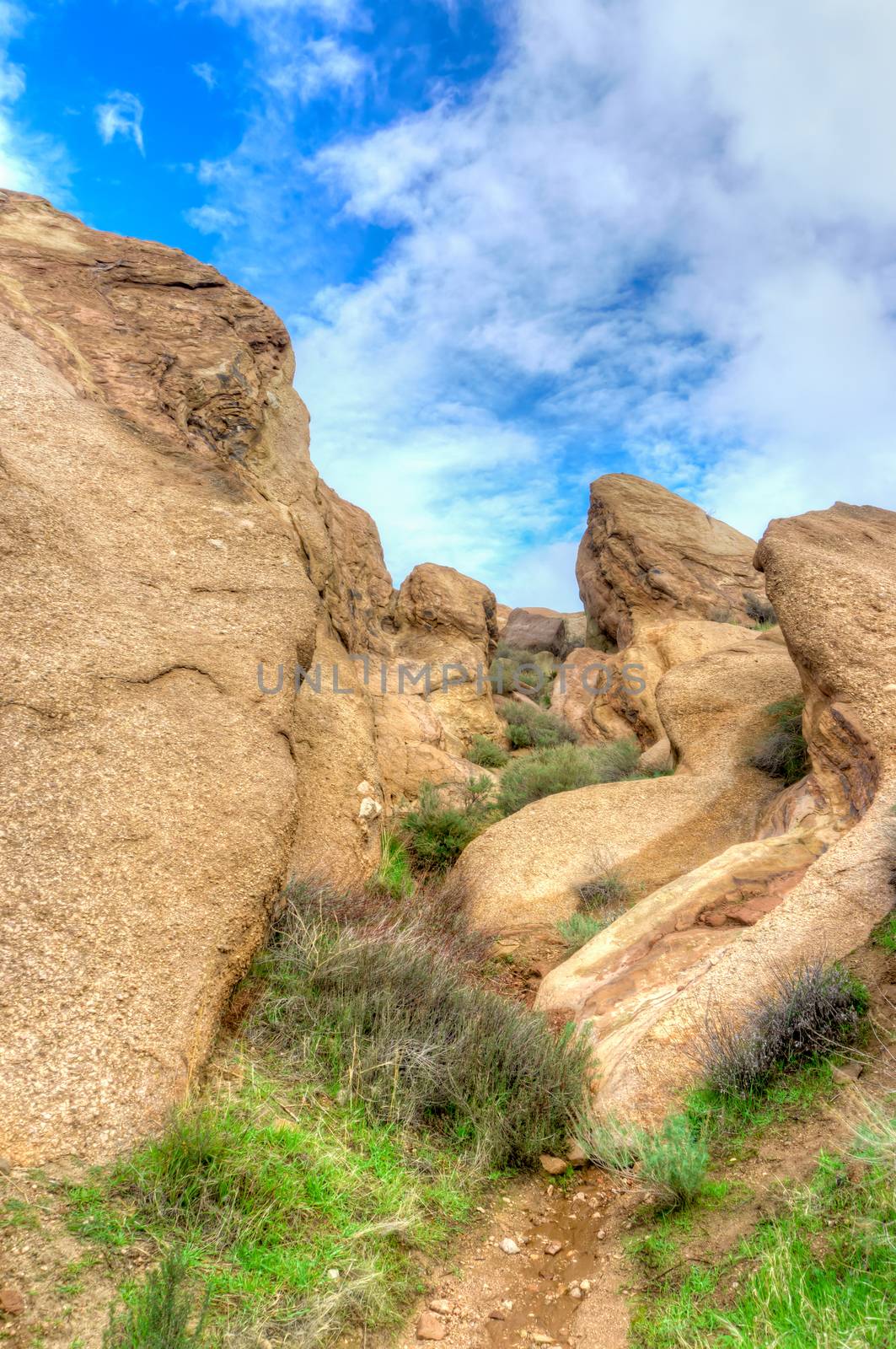 Vasquez Rocks Natural Area Park After the Rain by wolterk