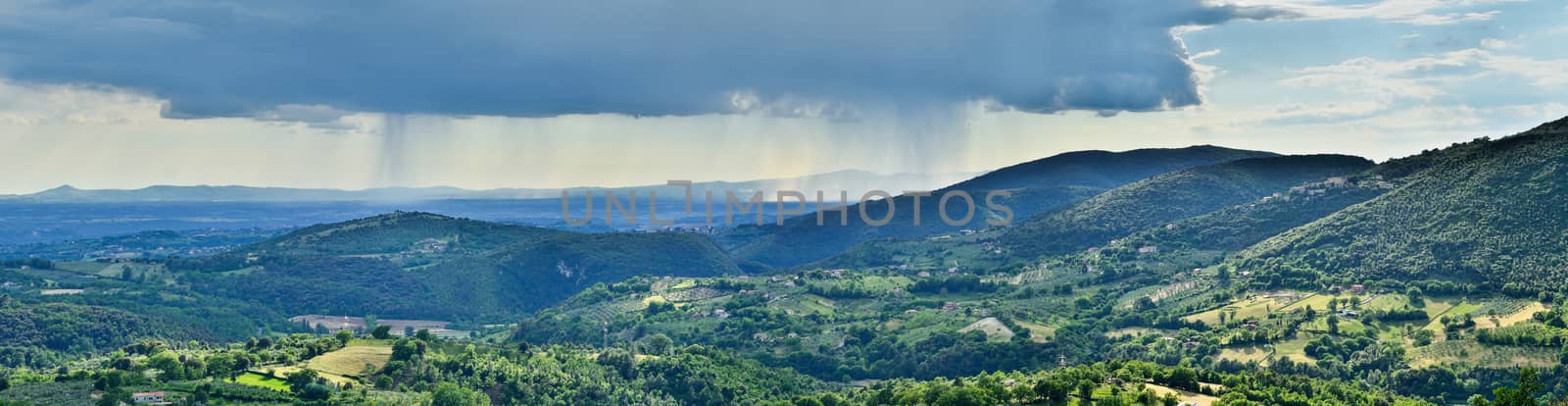 Hills with olive groves, panoramic view over the countryside of Tuscany, Italy