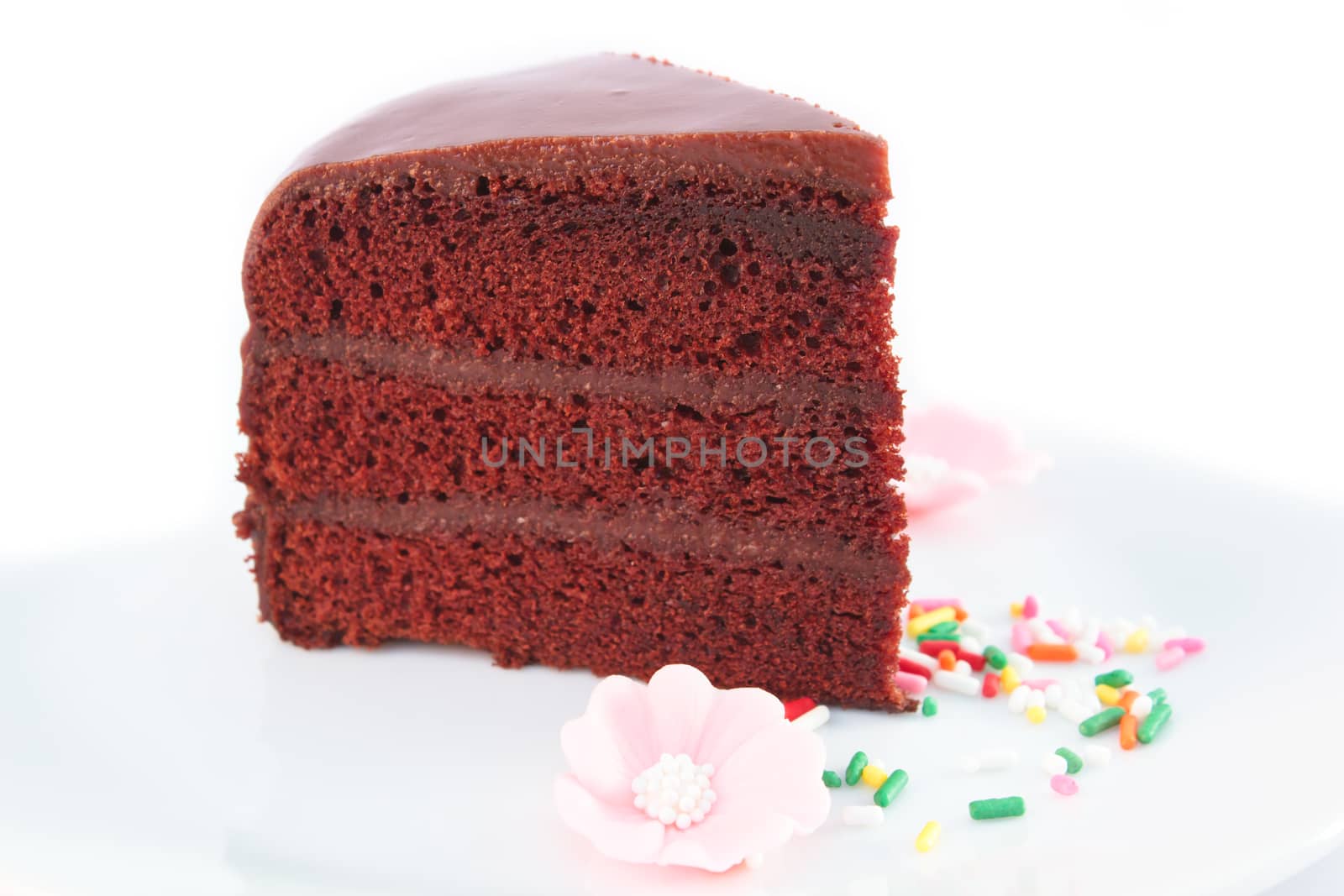 piece of chocolate cake with fudge sauce.