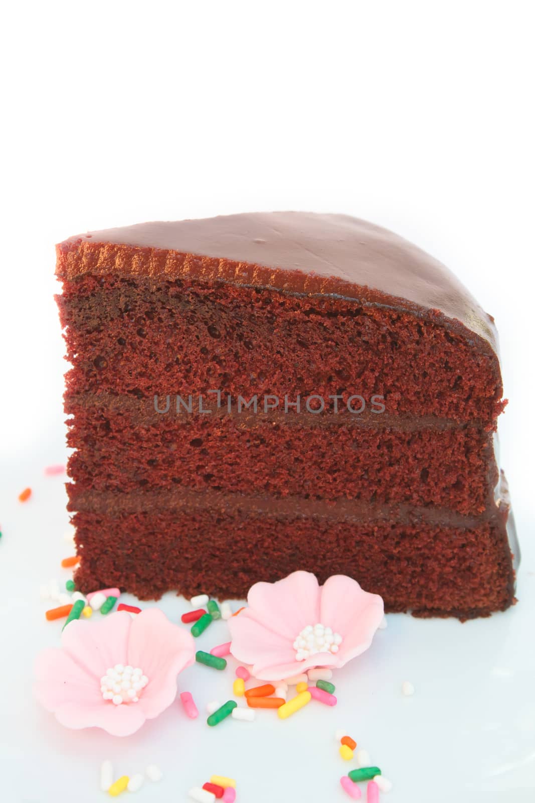 piece of chocolate cake with fudge sauce.
