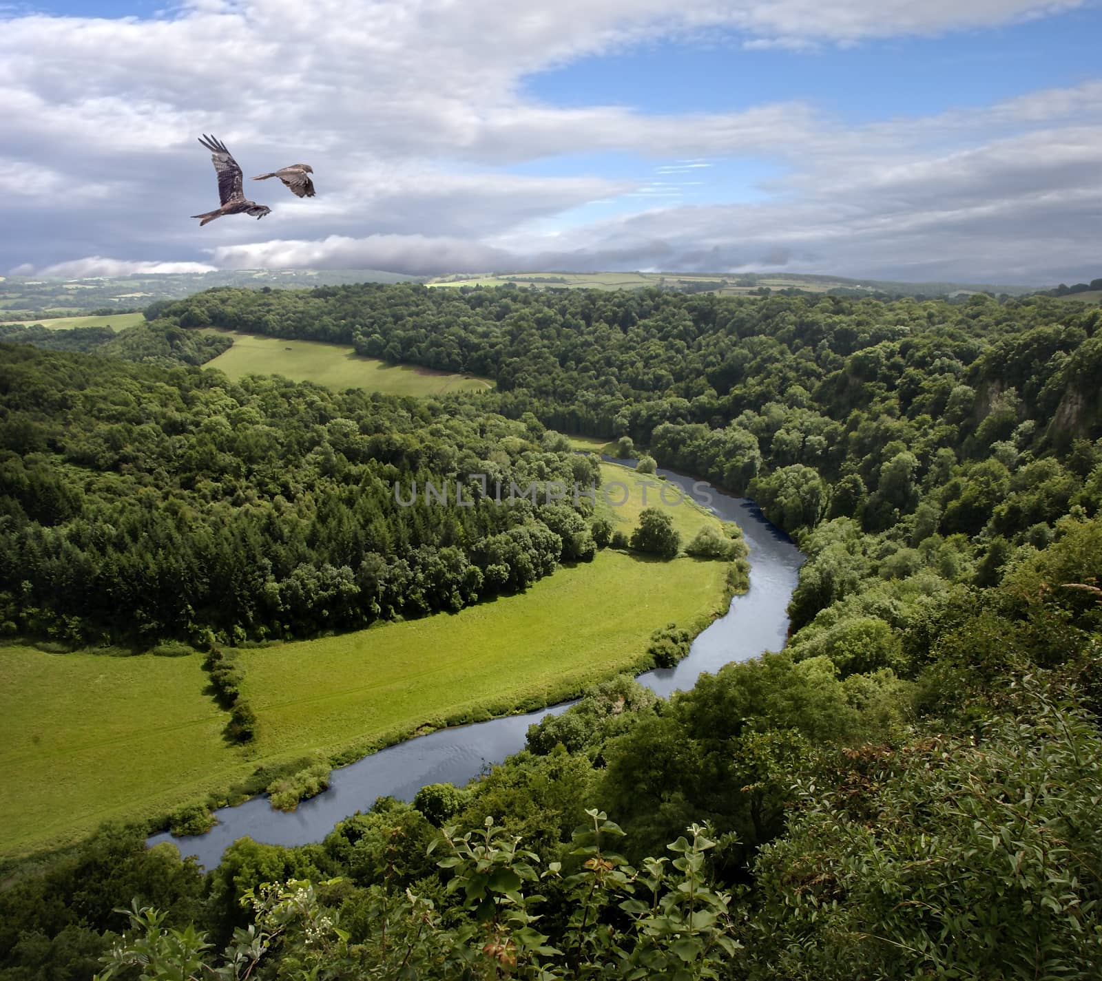 The river Wye at Symonds Yat defines the border between Gloucestershire and Herefordshire. Birds of Prey are often seen here.