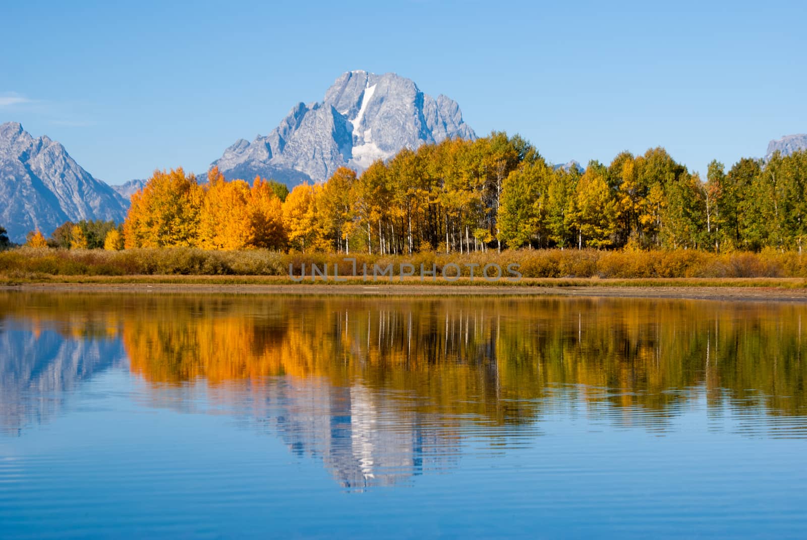 Reflections of Grand Tetons in Fall  by emattil
