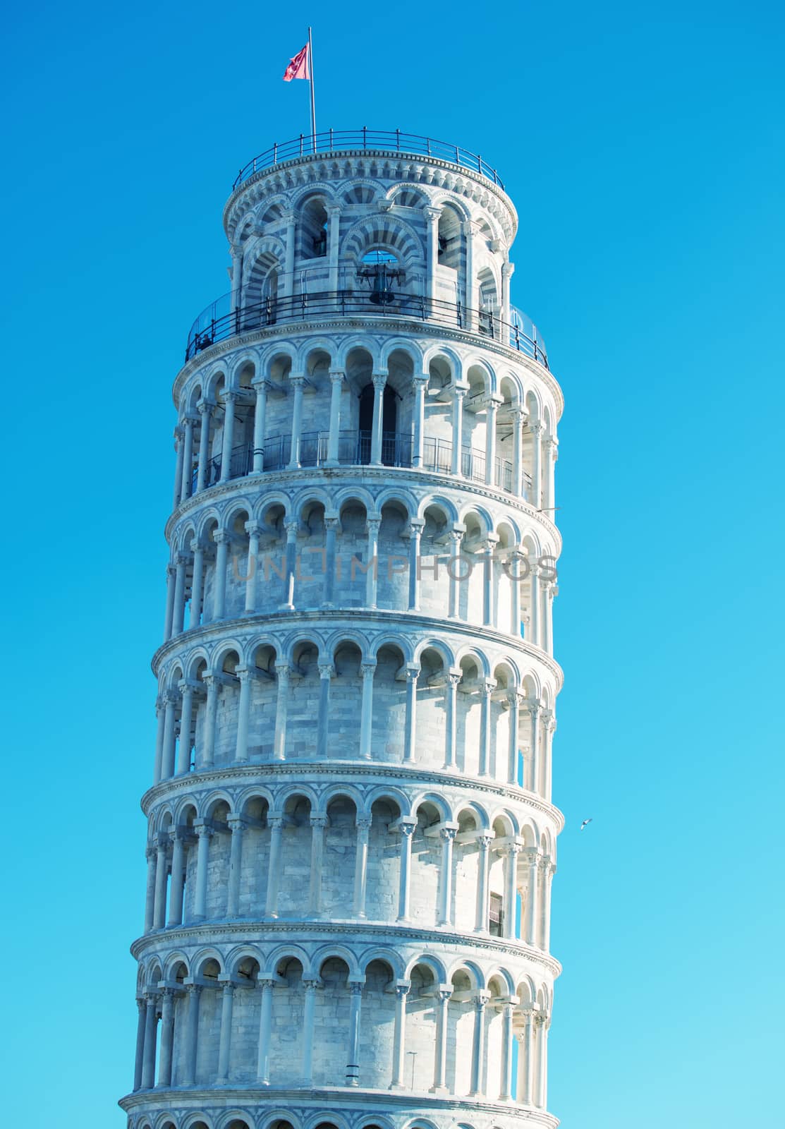 Pisa, Tuscany. Detail of Leaning Tower in Square of Miracles.