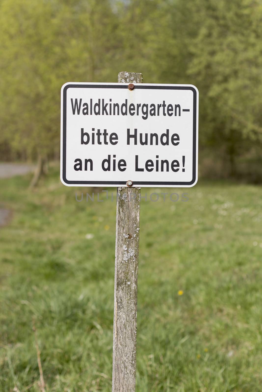 german sign on wooden pole. waldkindergarten, hunde bitte an die leine
