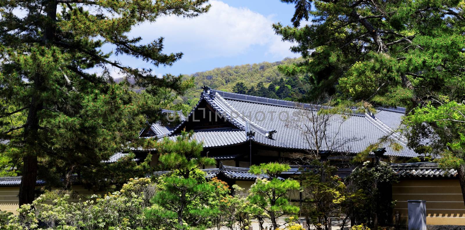 traditional wooden house, Japan at day