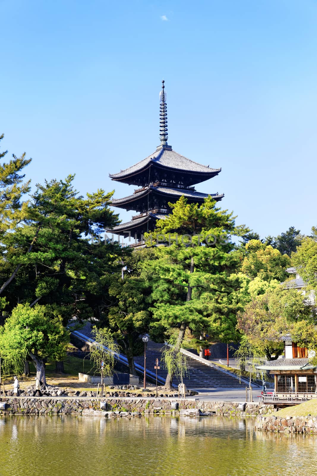 wooden tower of To-ji Temple in Nara Japan is the largest temple pagoda in the country at a height of 54.8 meters. 