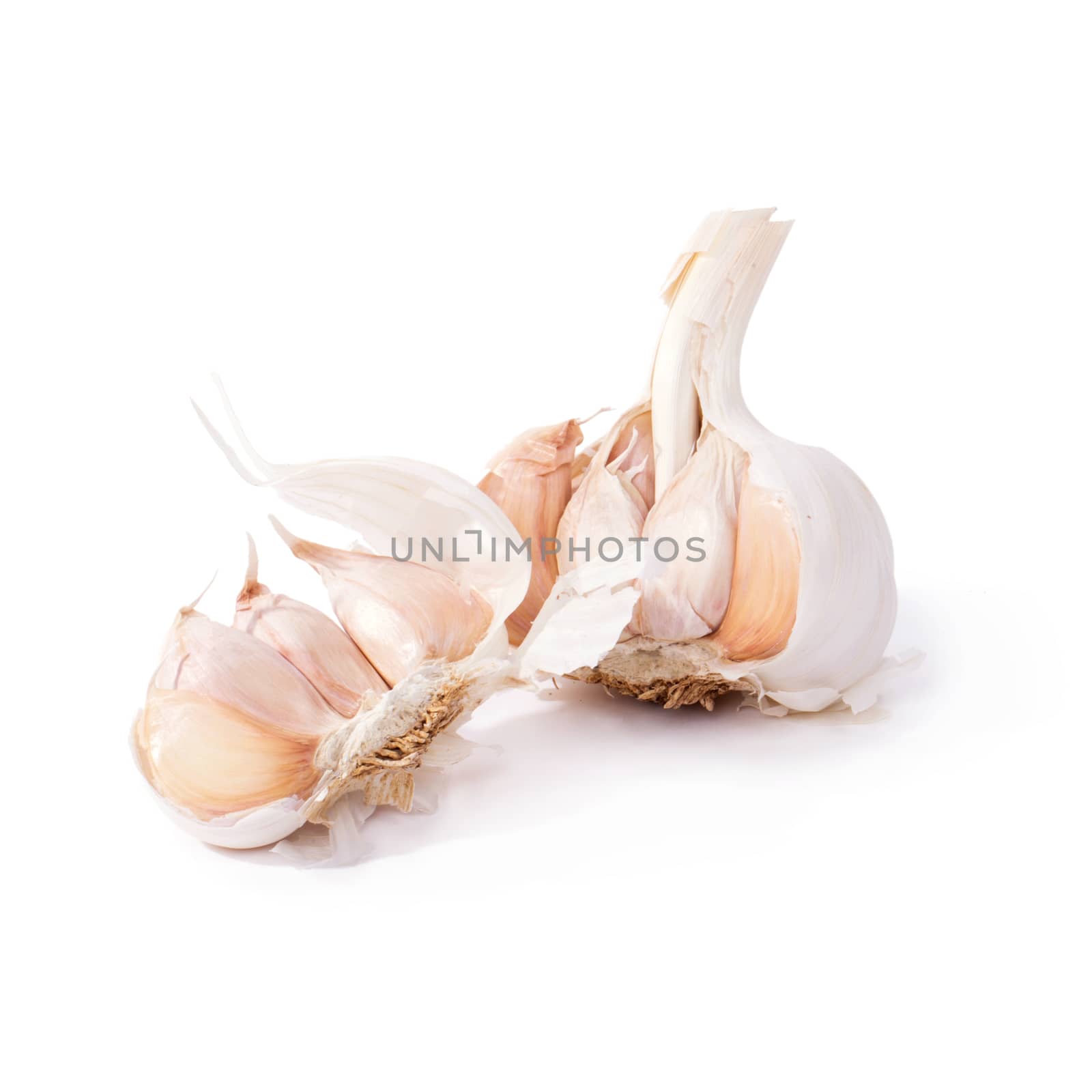 Garlic on a white background