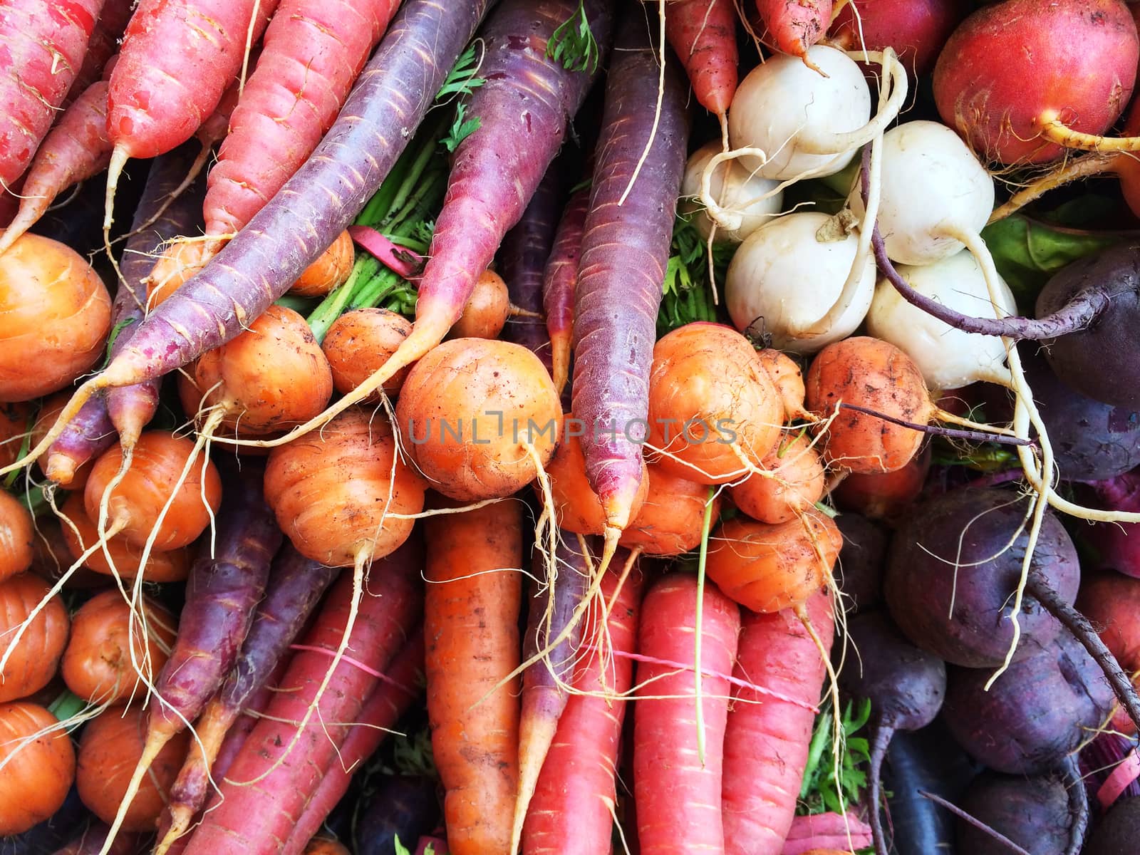 Colorful root vegetables by anikasalsera