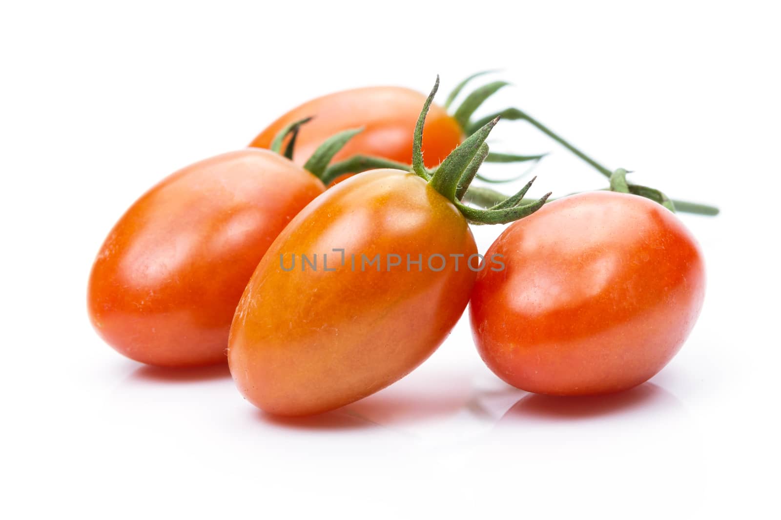 fresh Plum Tomato on white background