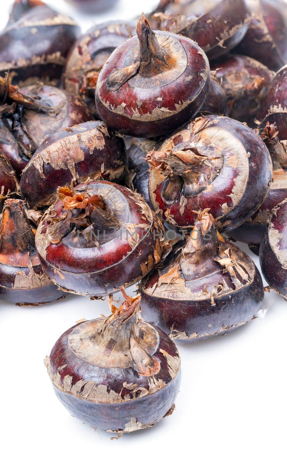 pile of Water Chestnut on white background