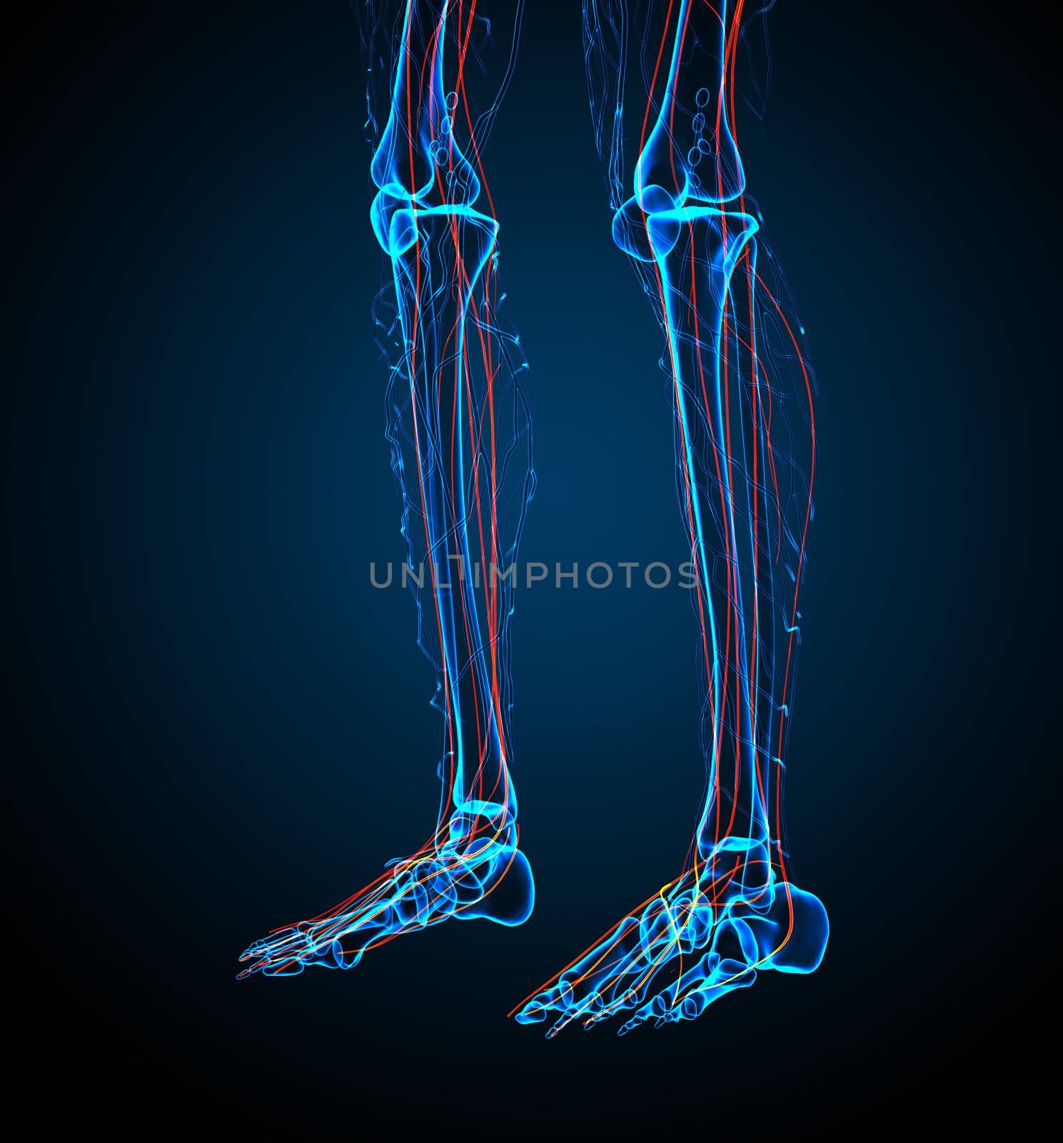 3d render medical illustration of the nerve system - side view