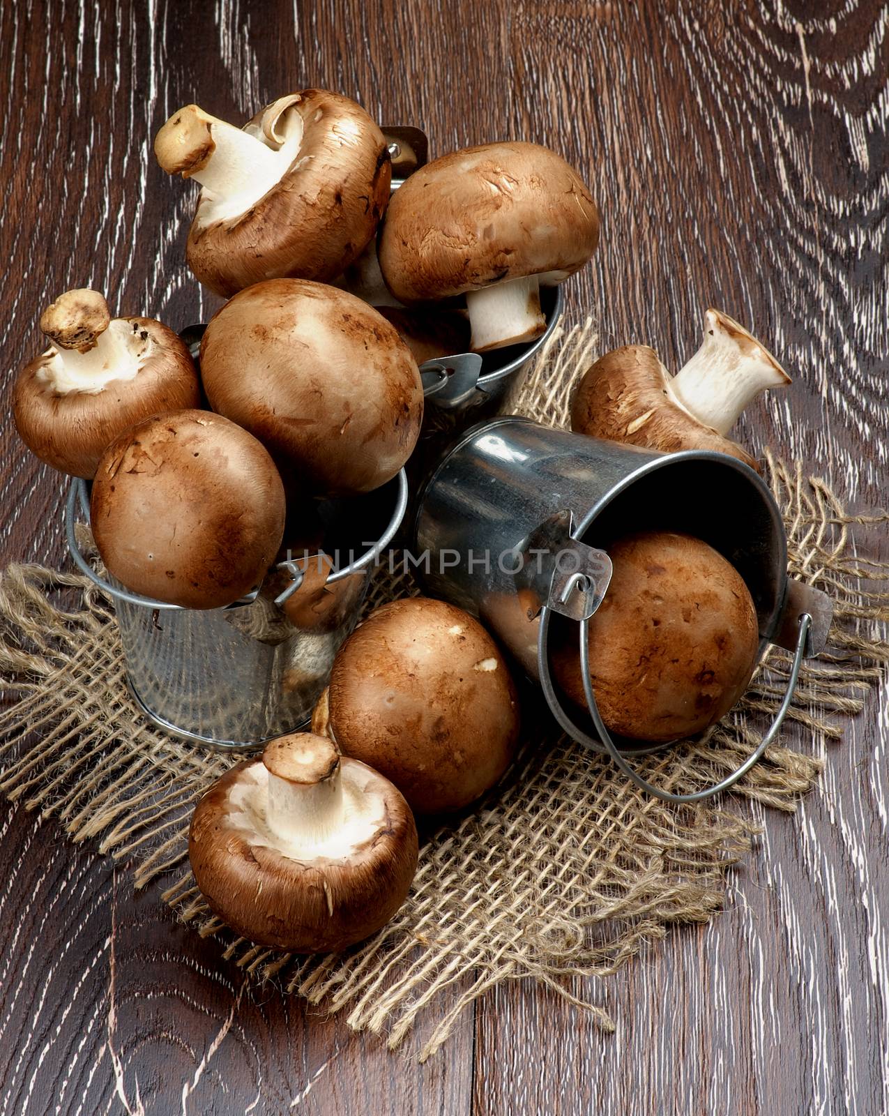 Fresh Raw Portabello Mushrooms in Three Tin Buckets closeup on Dark Wooden background