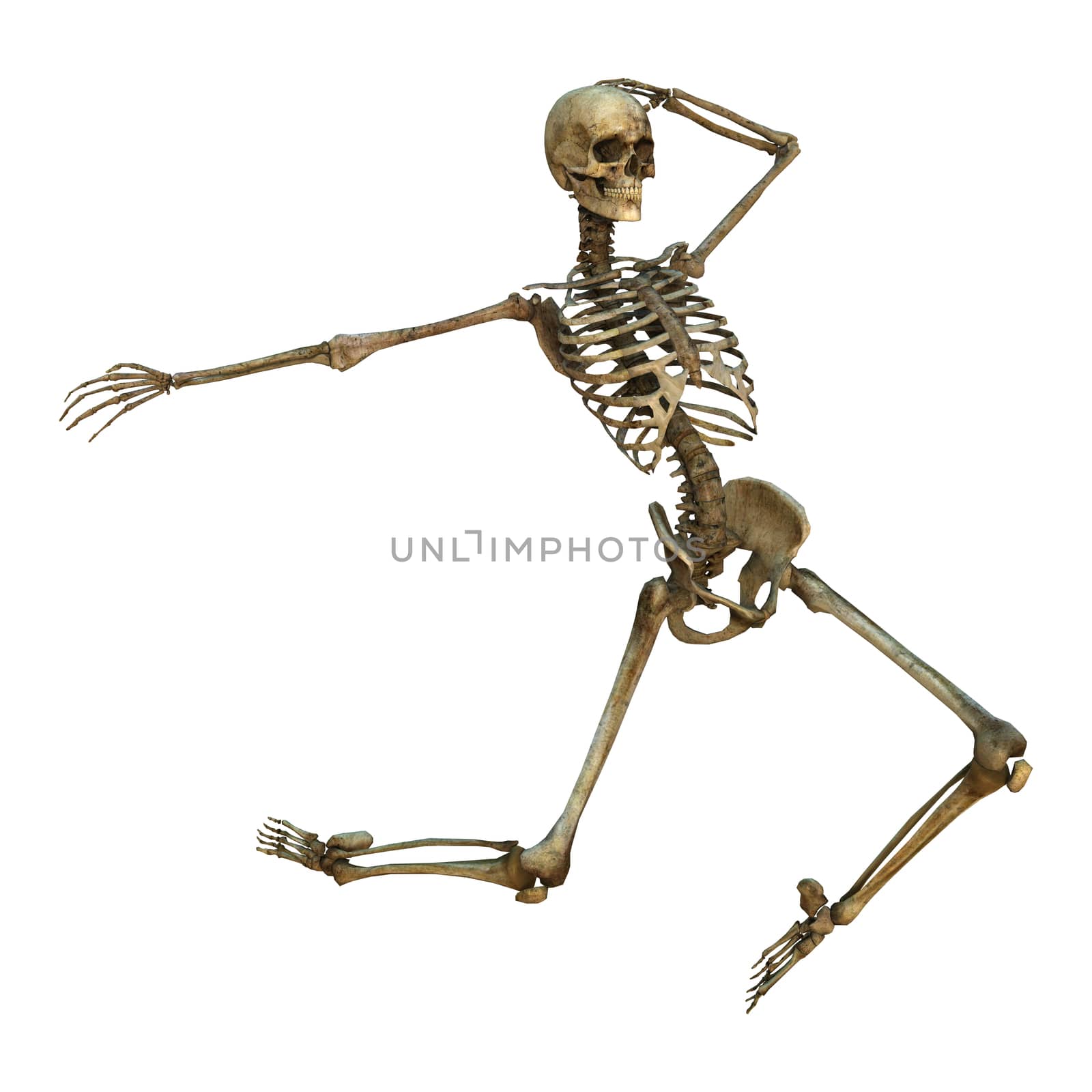 3D digital render of a human dancing skeleton isolated on white background