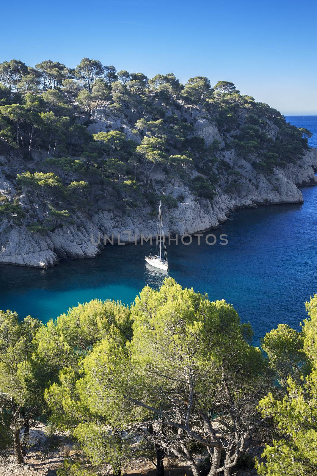 Calanques of Port Pin, vertical view,  Cassis, France