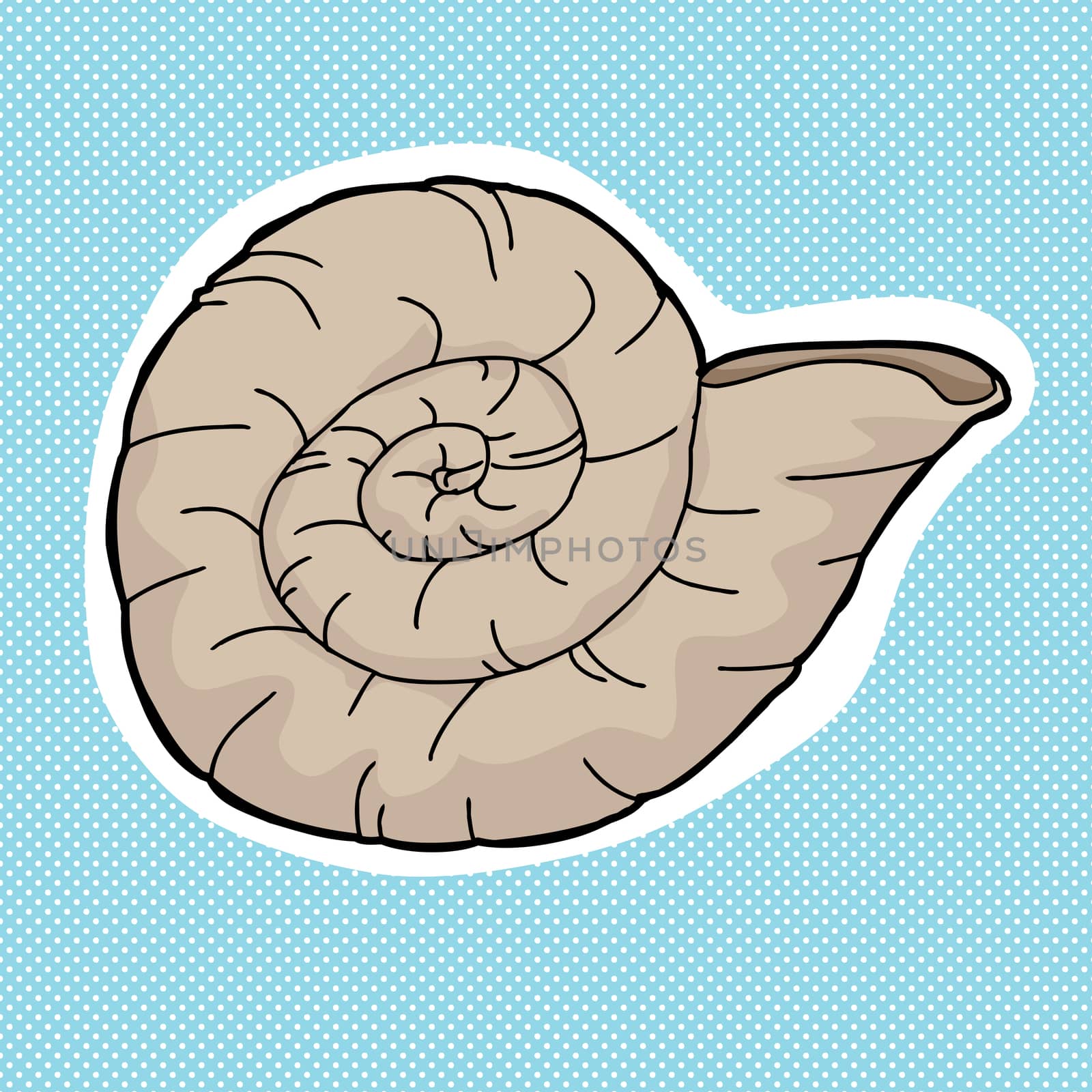 Single Ammonite shellfish fossil over blue background