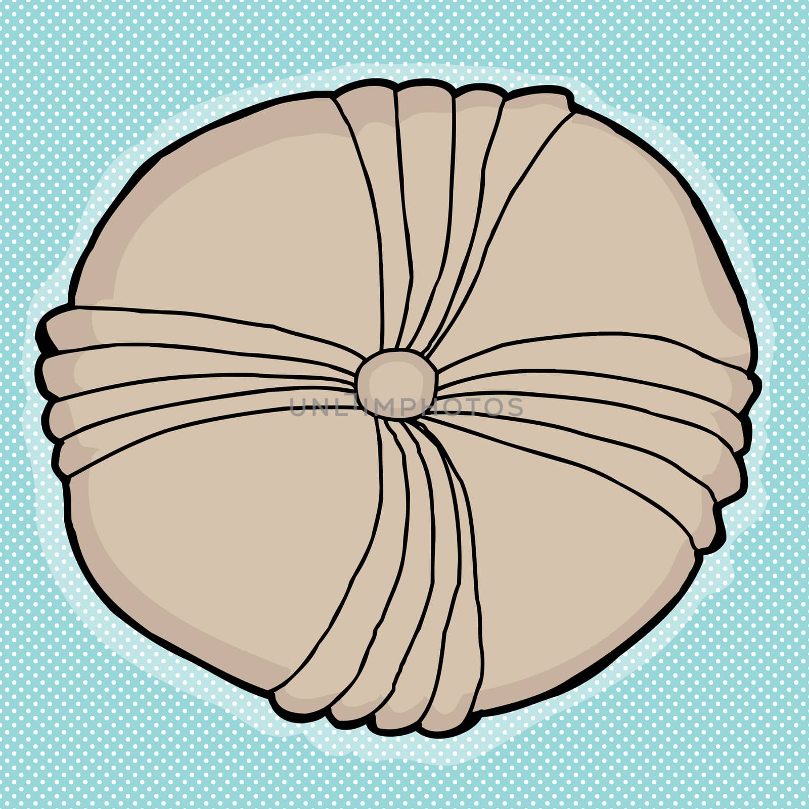 Round echinoderm fossil drawing blue white background