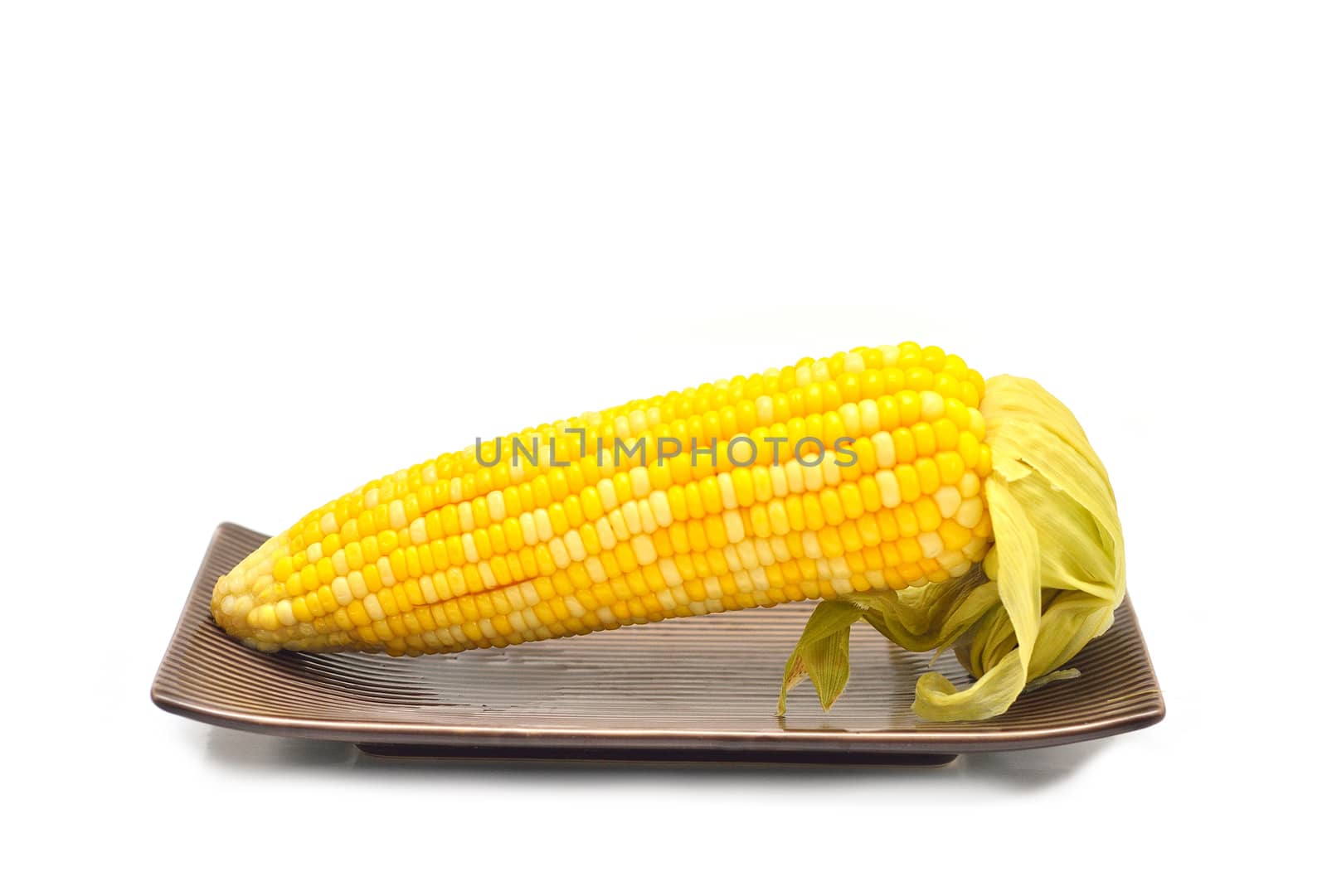 Boiled corn in dish isolated on white