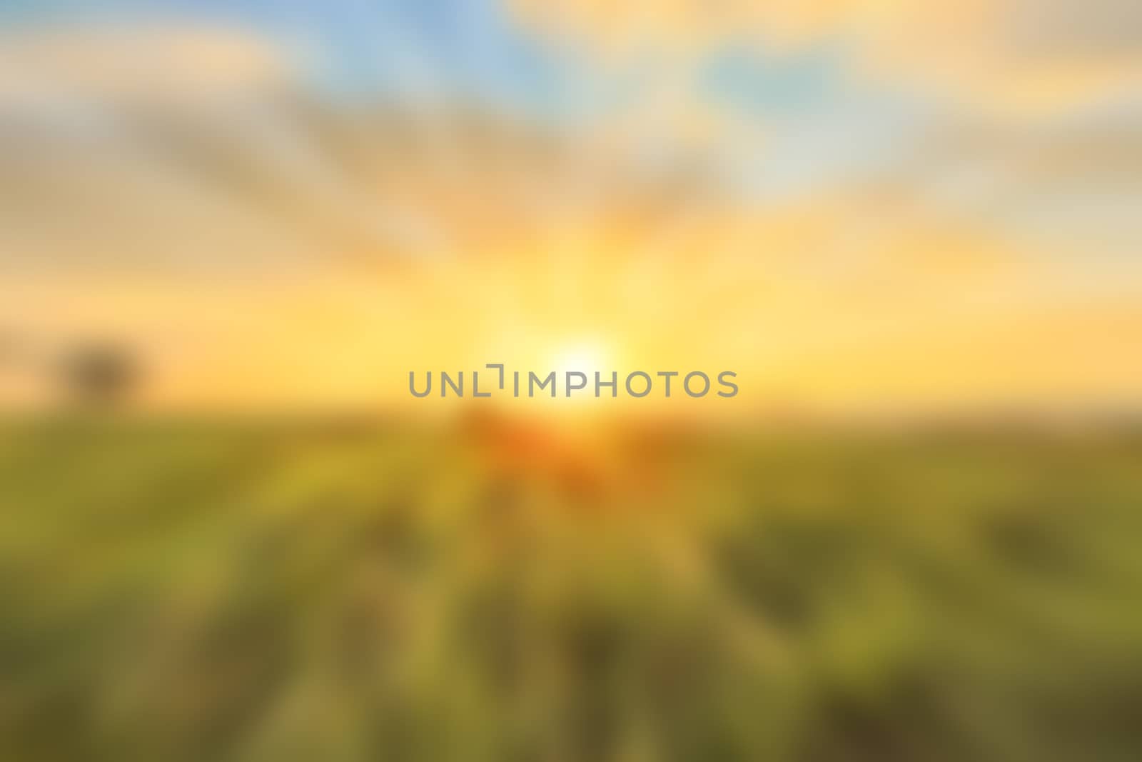 Sunset Artistic blur style - De focused urban abstract texture background for your design 