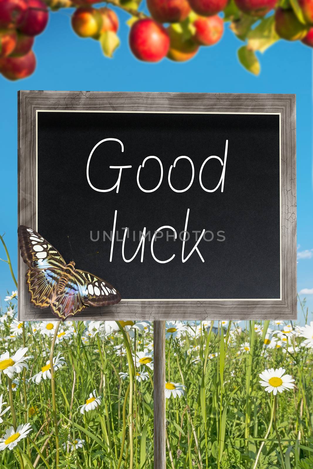 Blank chalkboard on a meadow with text Good luck