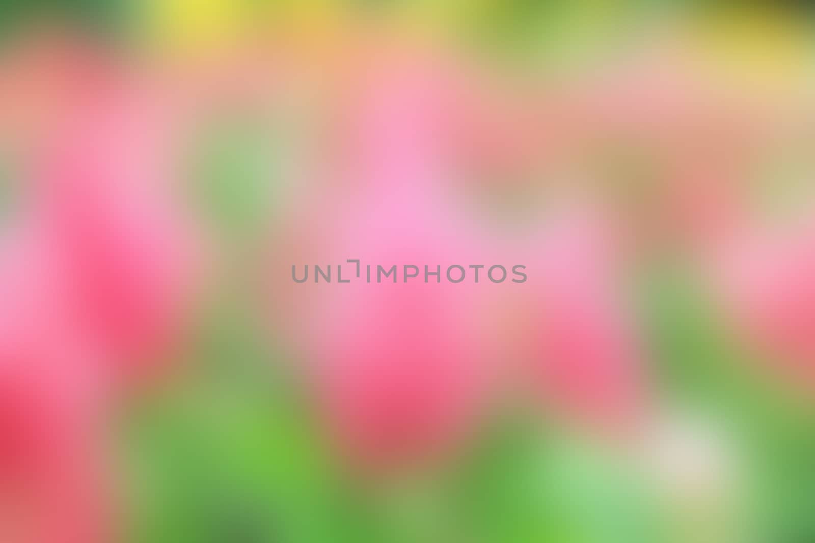 Flower Artistic blur style - De focused urban abstract texture background for your design 
