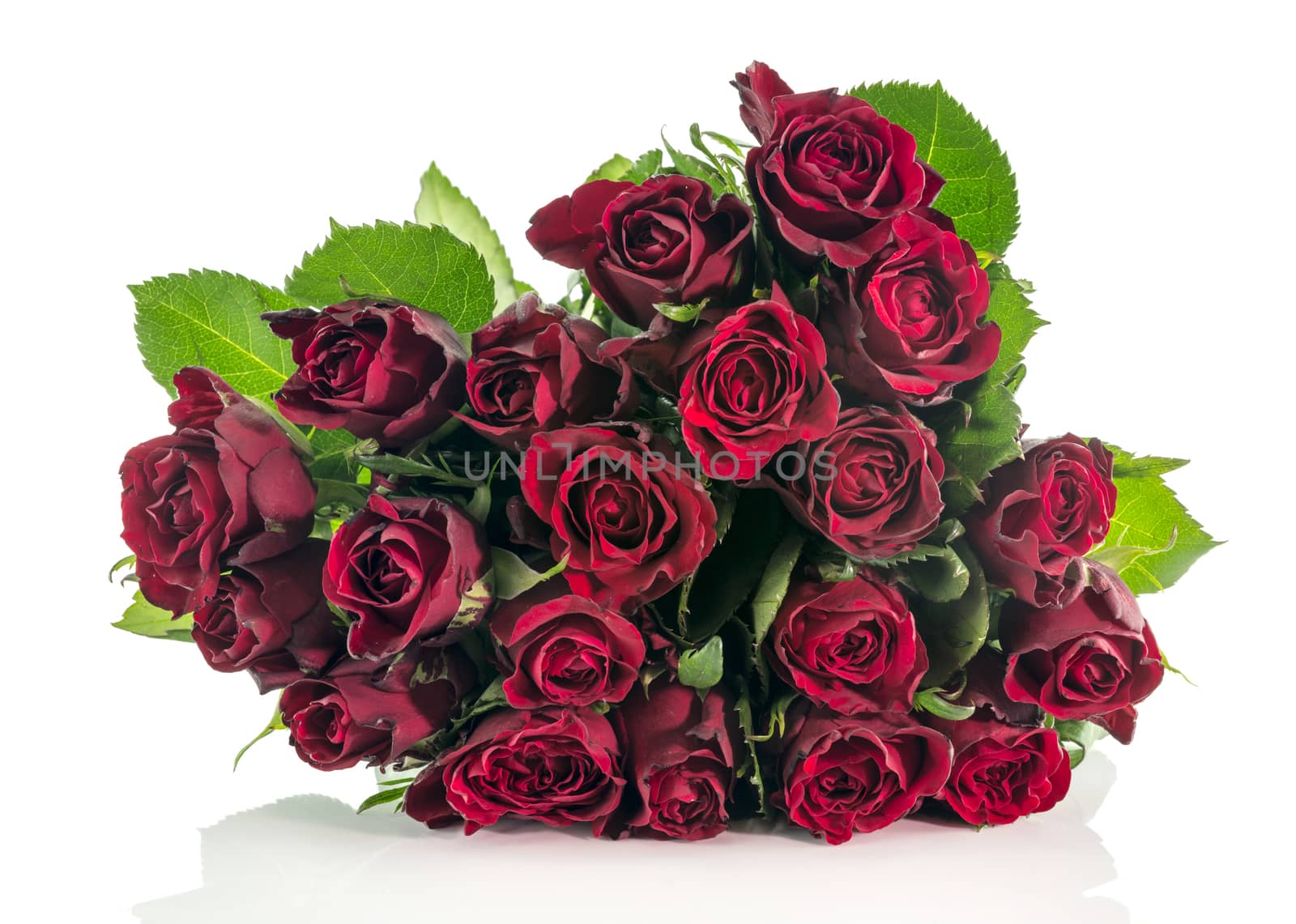 bouquet of dark red roses isolated on white background