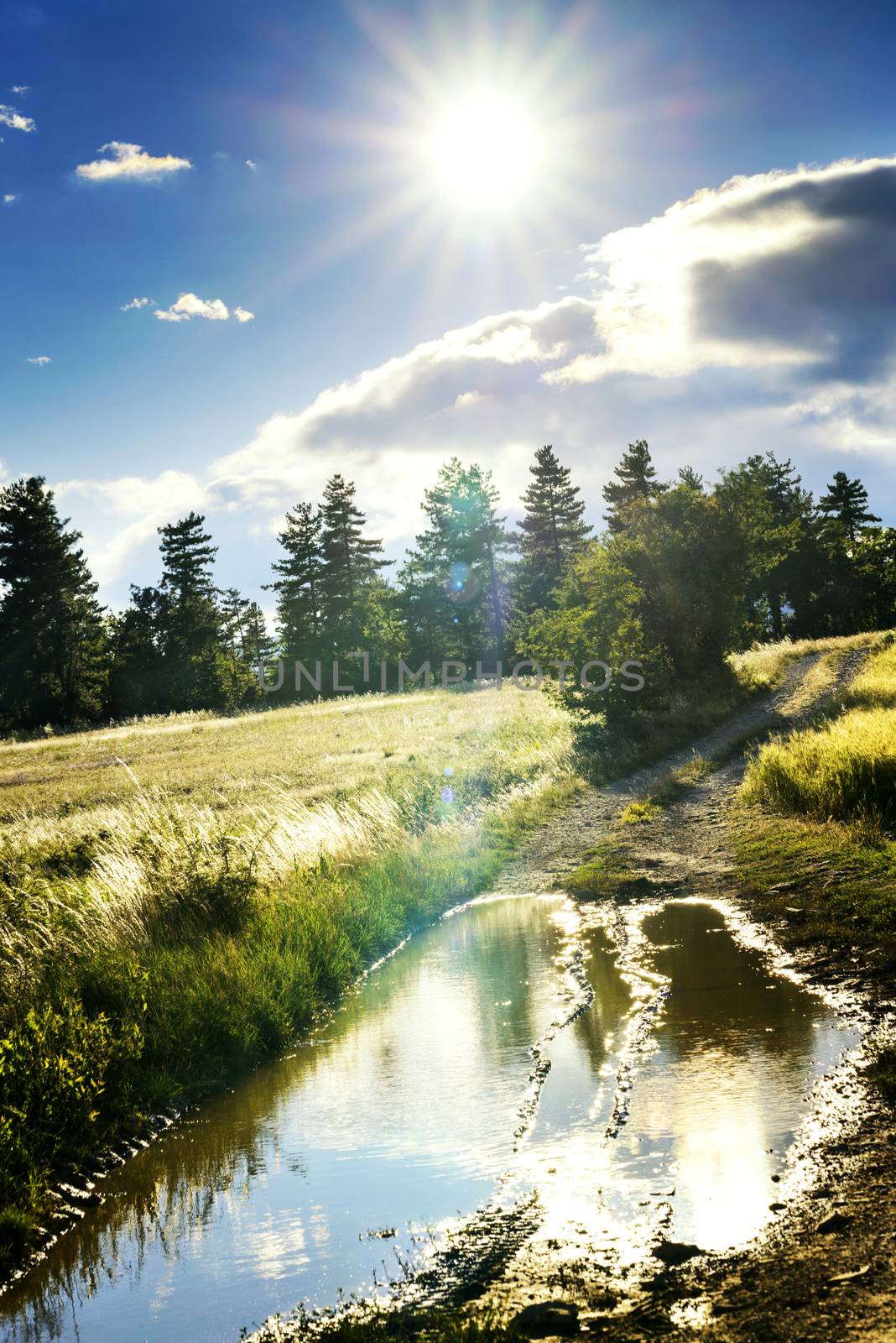 dirt road after rain in the countryside of France by ventdusud