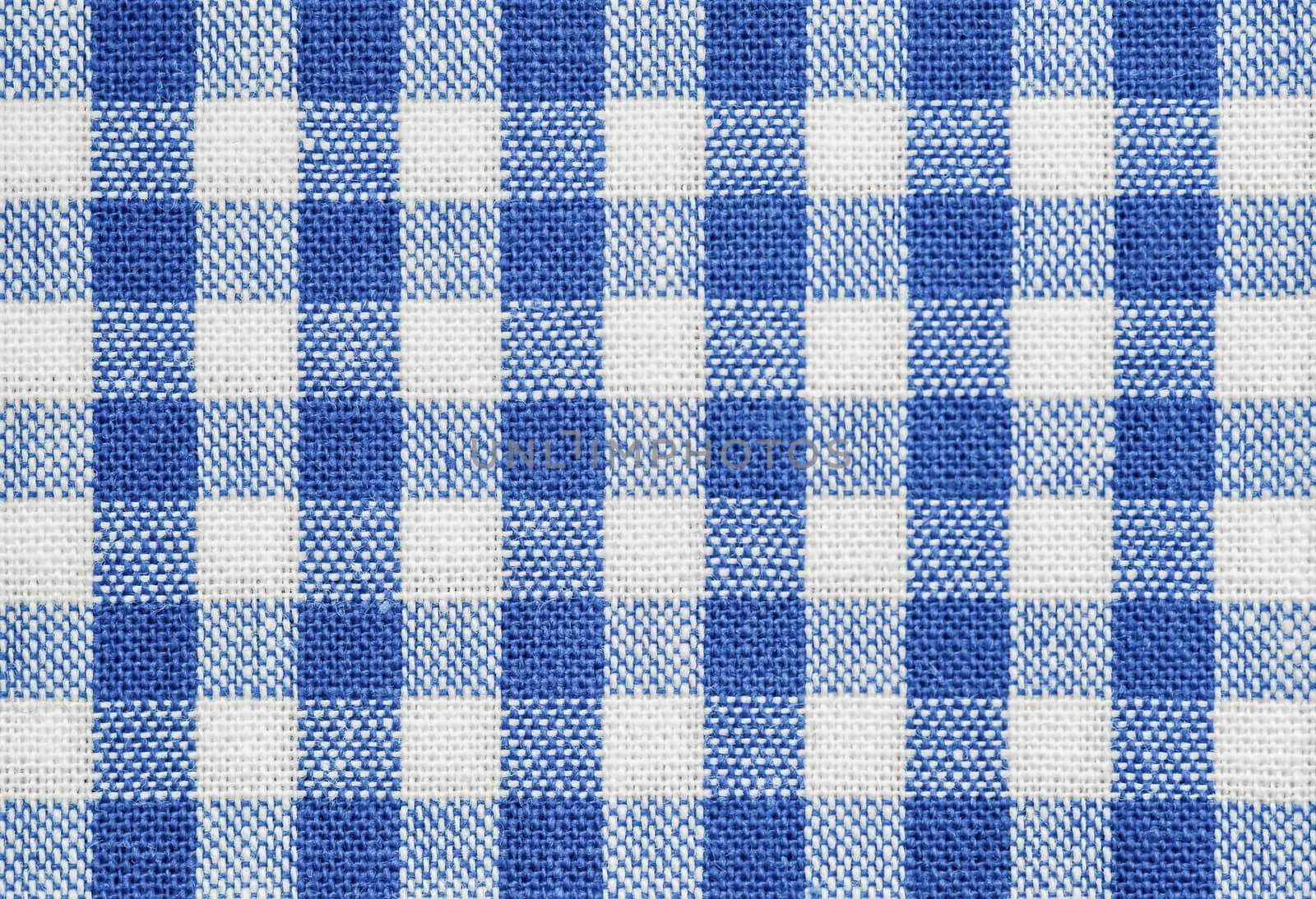 blue checked fabric by nelsonart