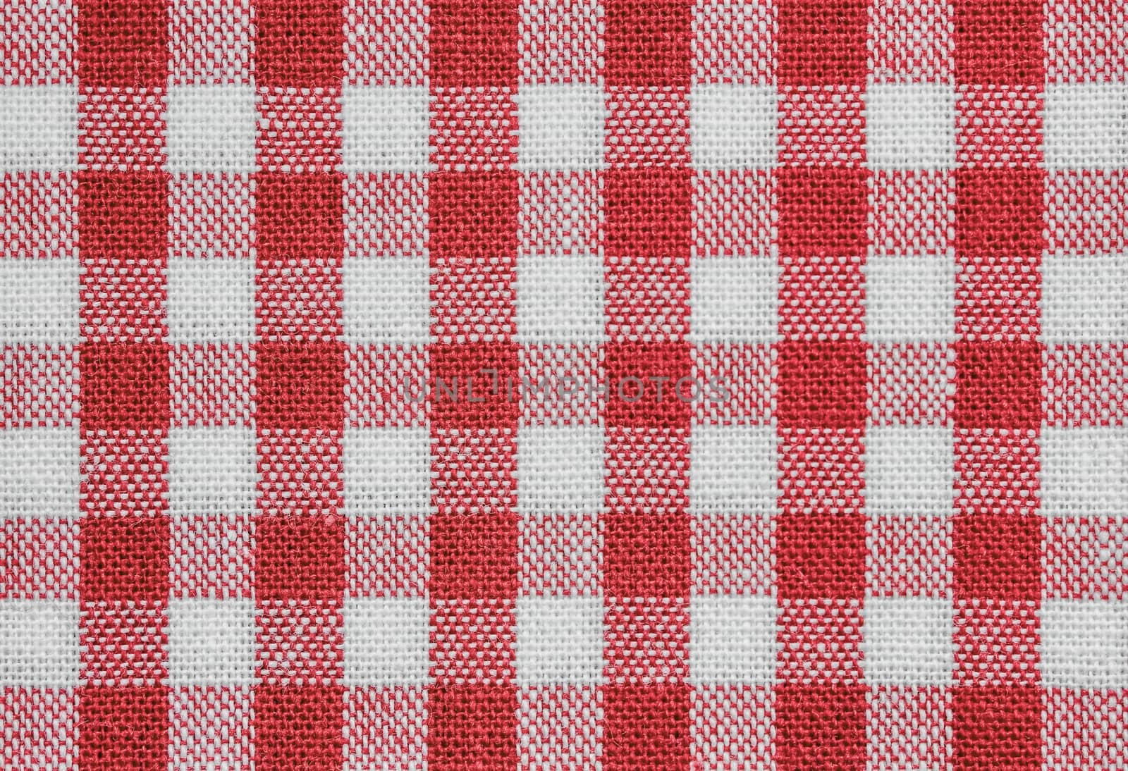 red check fabric by nelsonart