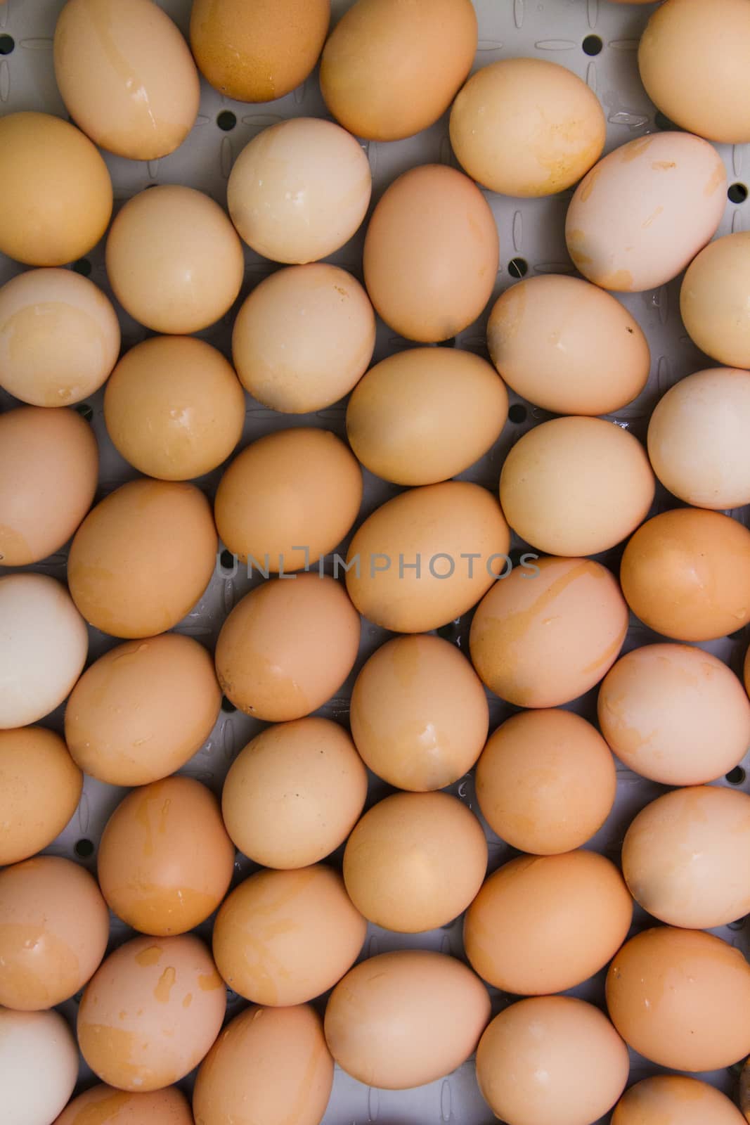 Brown chicken eggs in a box. Top view