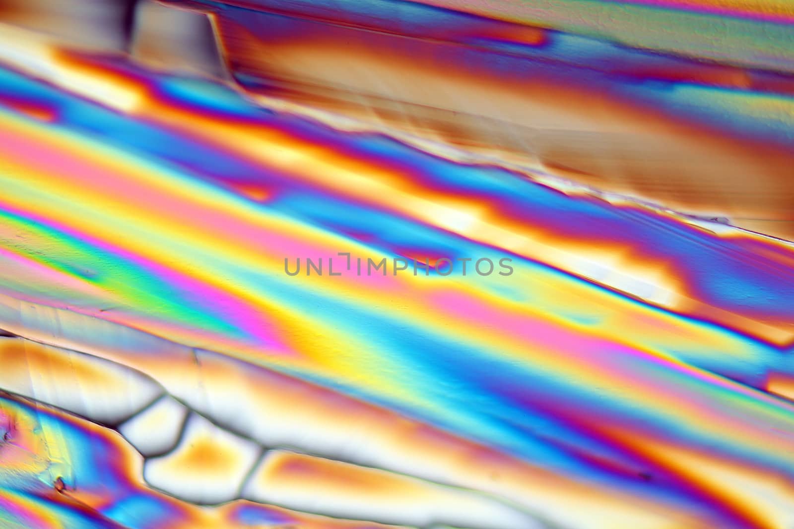 Magnesium sulfate or Epsom crystals under the microscope (magnification 80x and polarized light).