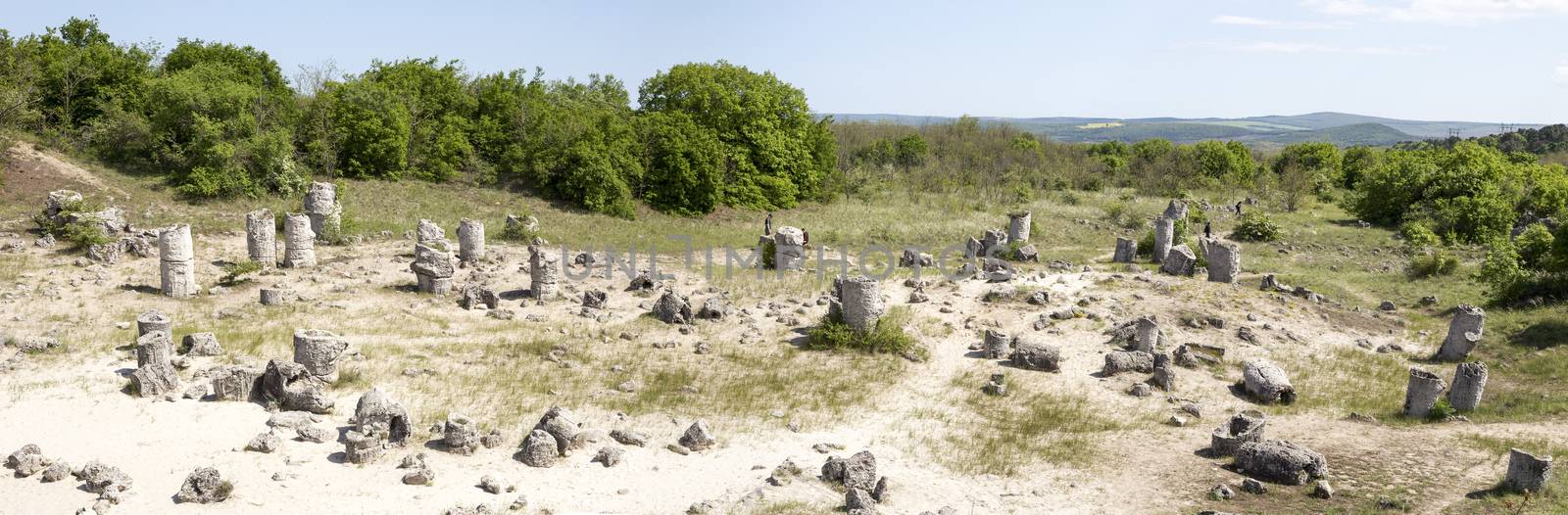 Panorama of Pobiti Kamani (Standing Stones, Stone Forest) Unique Natural Rock Phenomenon by straannick