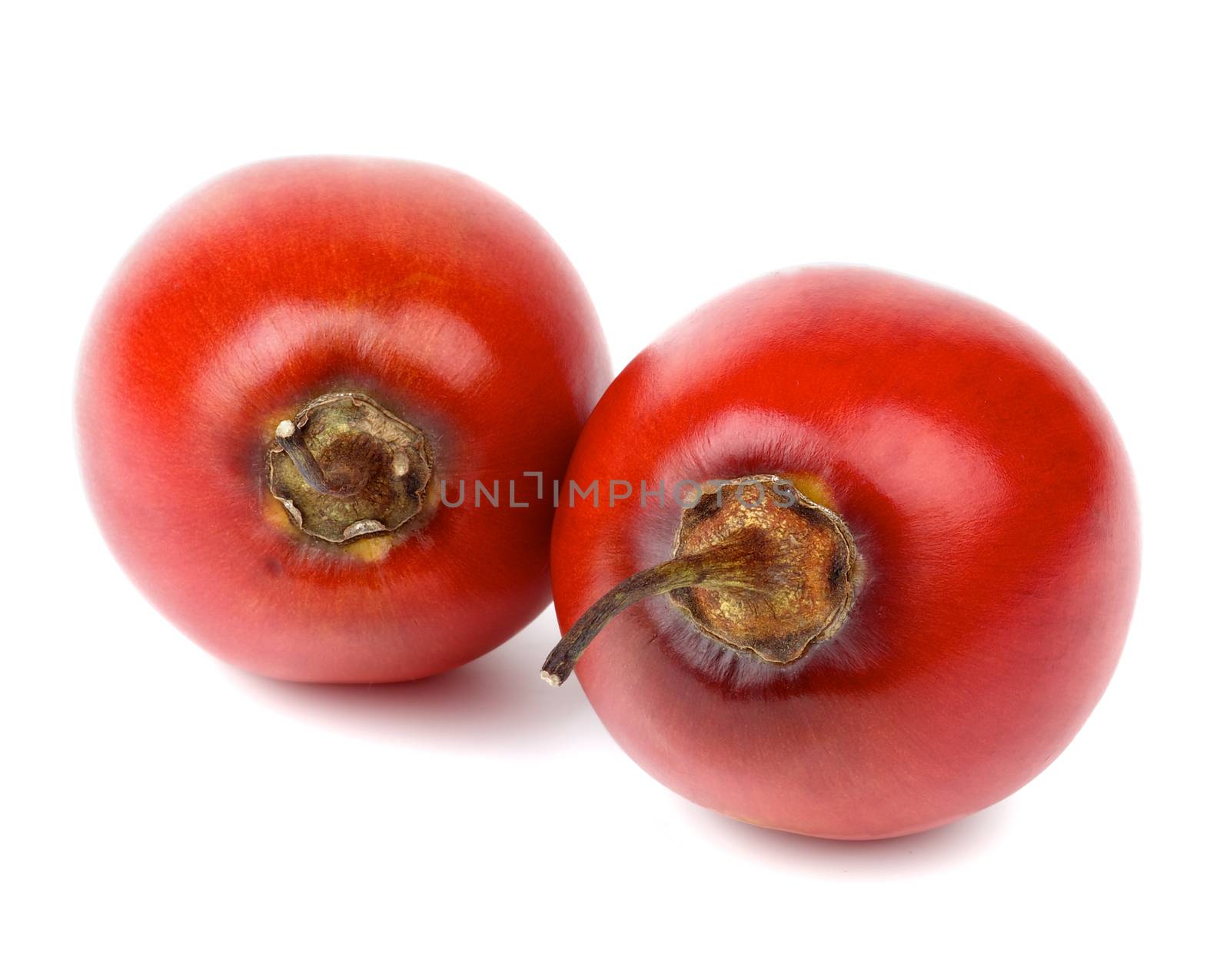 Tamarillo Fruits by zhekos