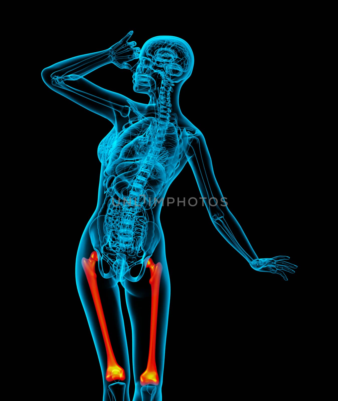 3d render medical illustration of the femur bone - back view
