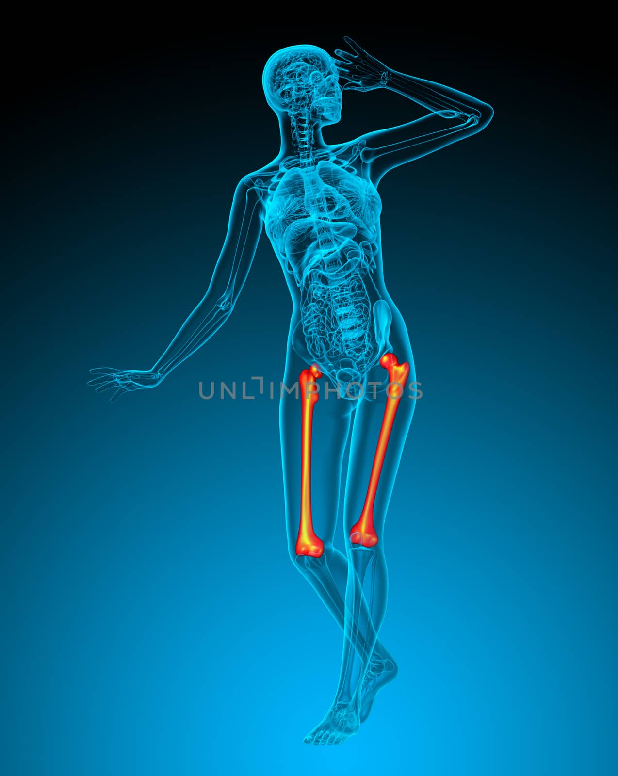 3d render medical illustration of the femur bone - front view