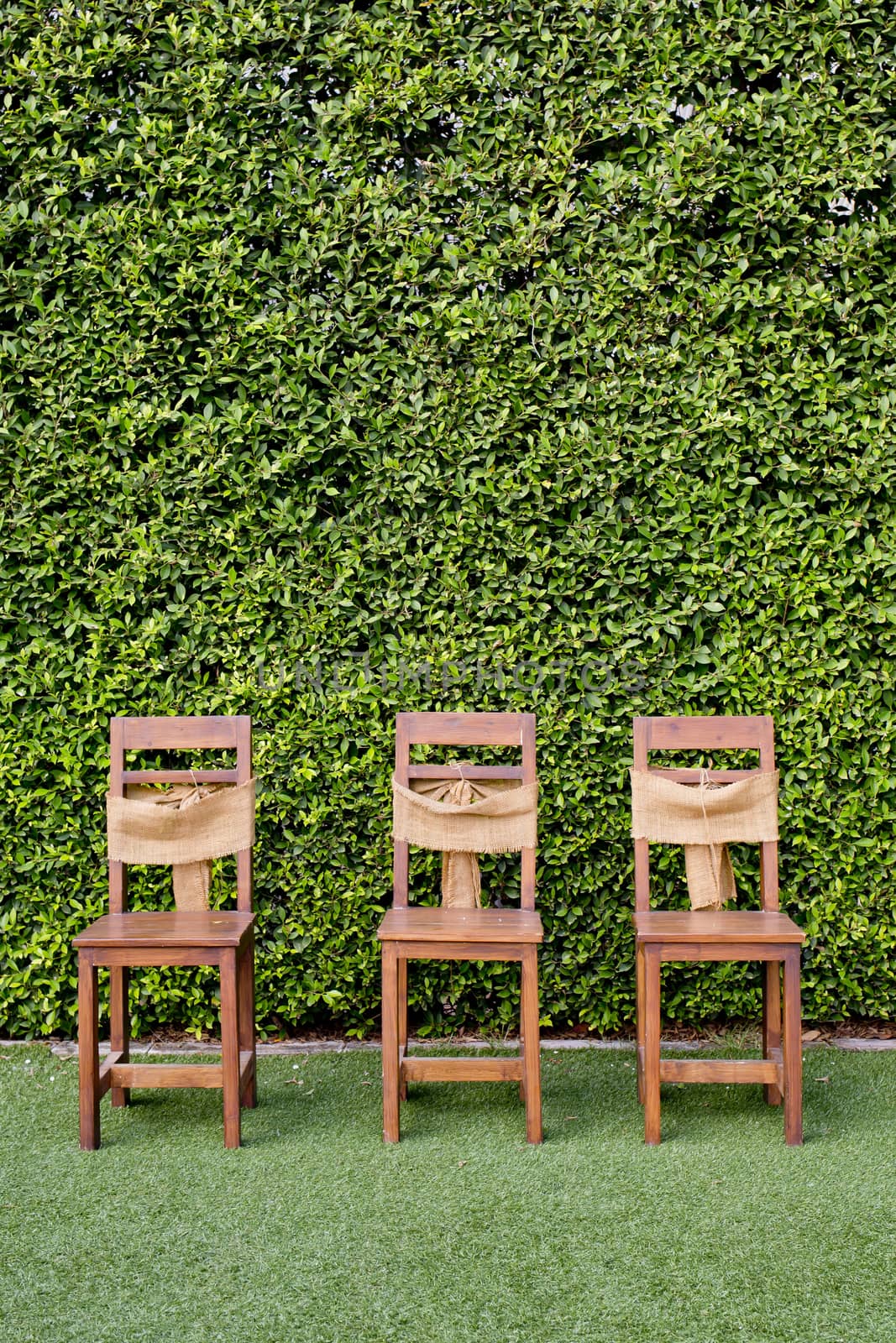 Decorate three wooden chairs against the green small tree wall. by art9858