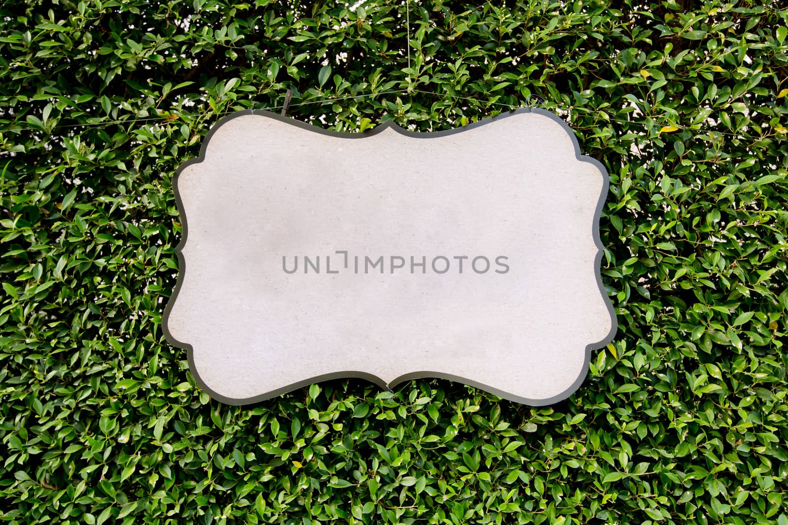 Blank board against green leaves texture background. by art9858