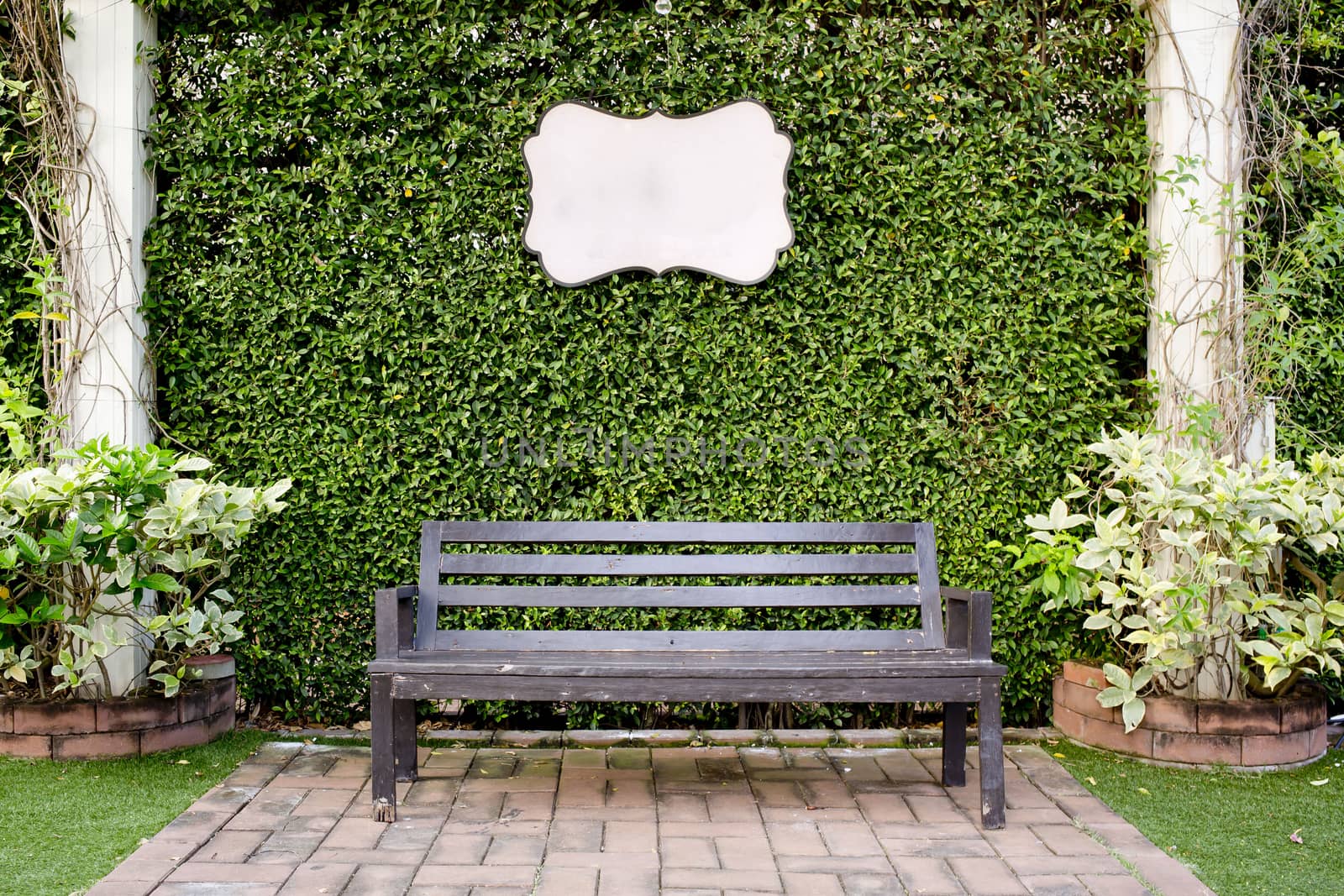Wooden dark brown bench and blank vintage card against green leaves texture background.