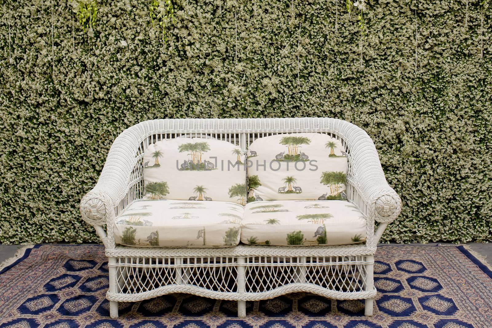 Decorate sofa and carpet against the green small tree wall. by art9858