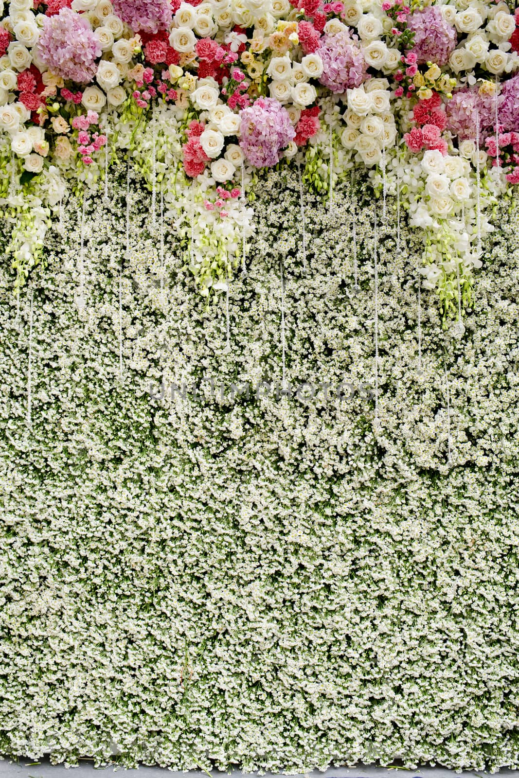 Colorful flowers with green wall for wedding backdrop