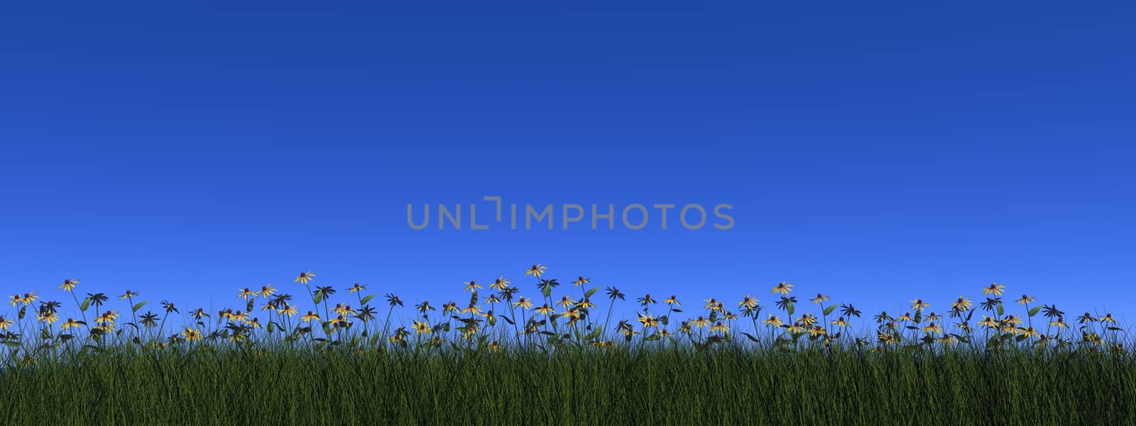 Grass and daisy - 3D render by Elenaphotos21