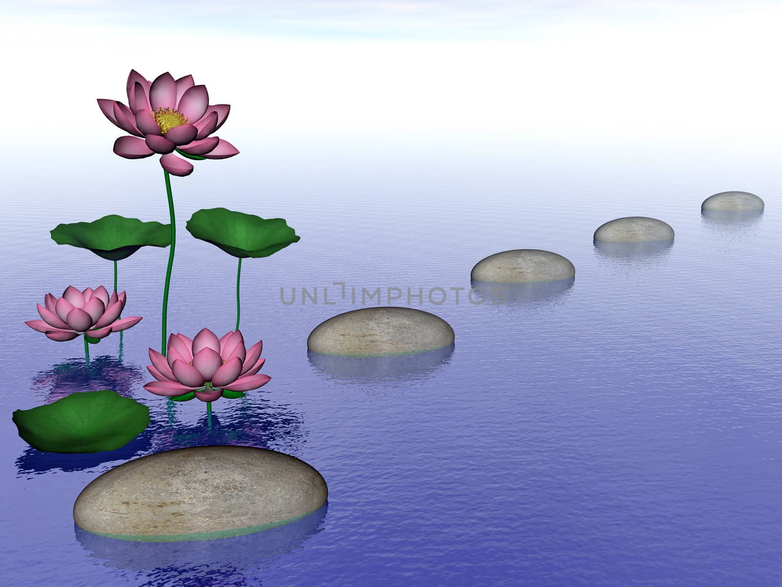 Zen lily flowers - 3D render by Elenaphotos21