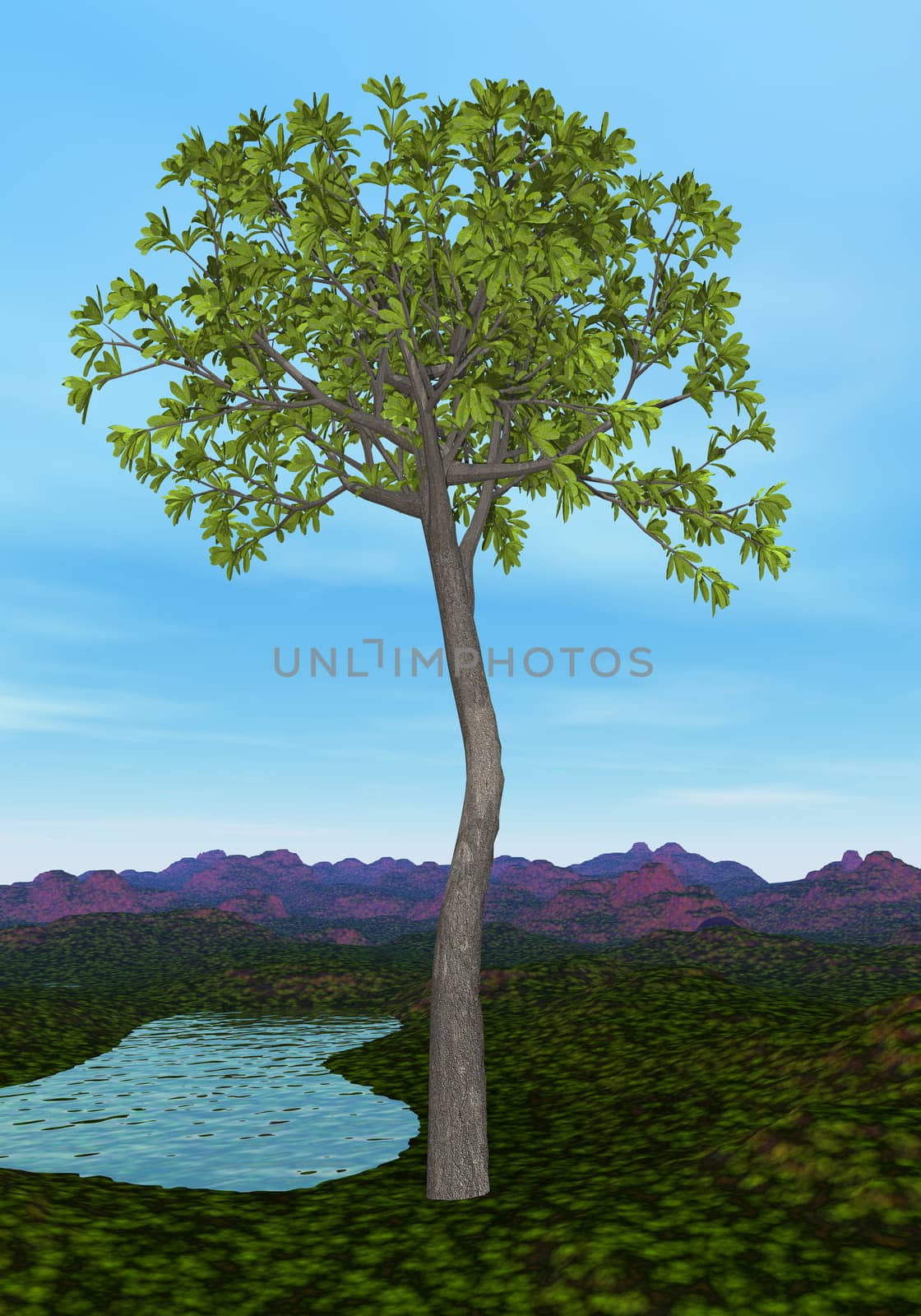 Glossopteris tree - 3D render by Elenaphotos21