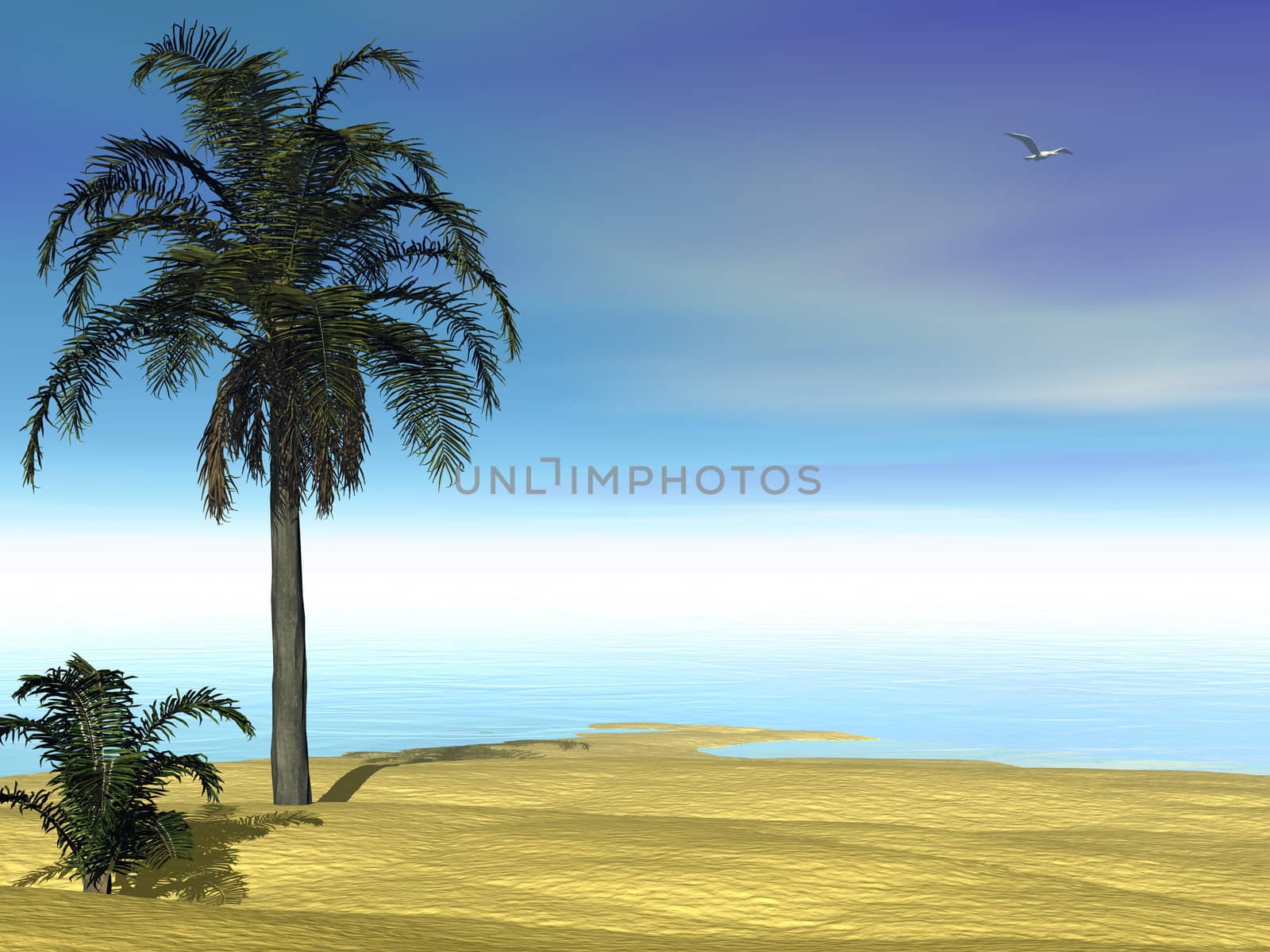 Palm trees, beach and ocean by beautiful day - 3D render